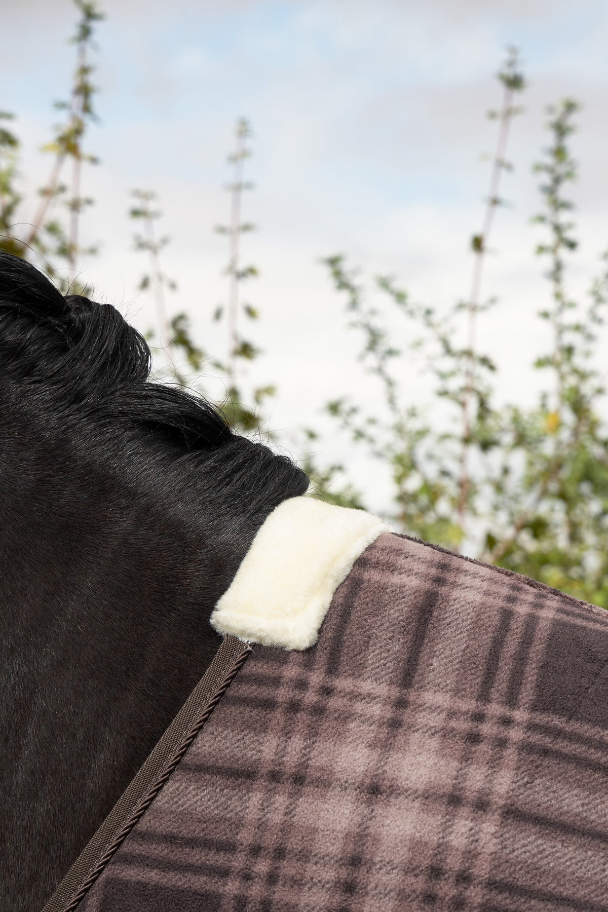 LeMieux Heritage Check Fleece Rug Horse Rugs