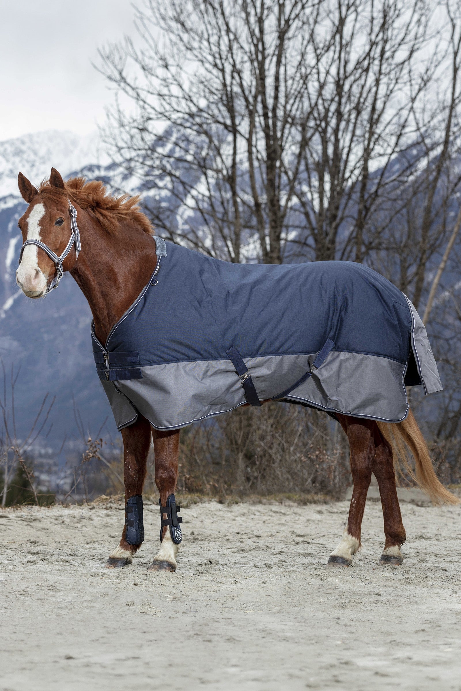 Equi Theme EQUITHÈME TYREX 600D Turnout Rug Fleece Lined Horse Rugs