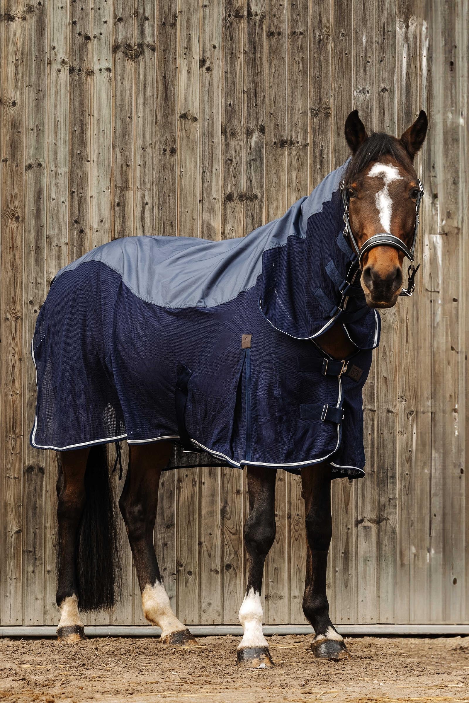 Equi Theme EQUITHÈME Combo Sheet Mixte Horse Rugs