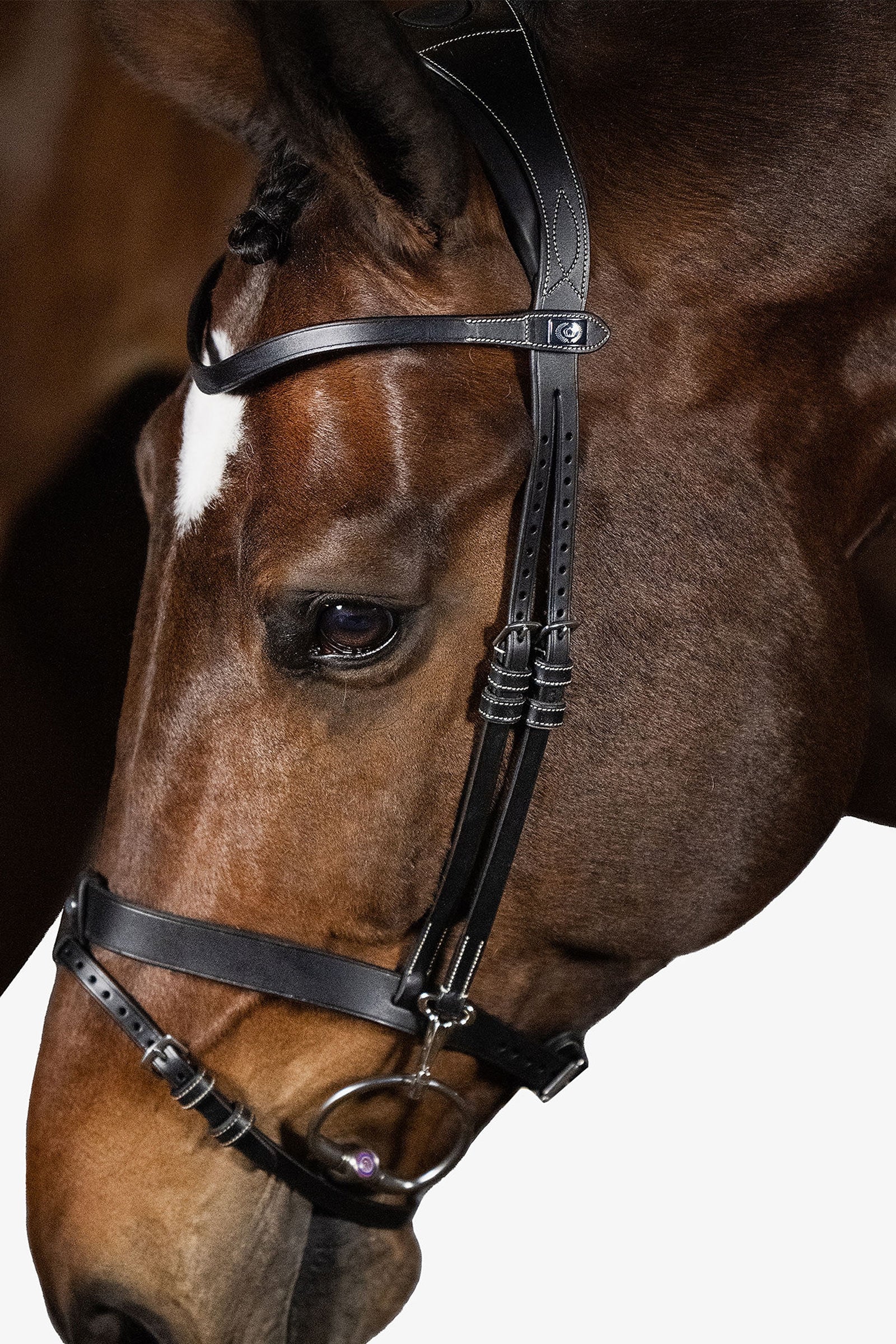 PS of Sweden London Bridle Ogłowia i wodze