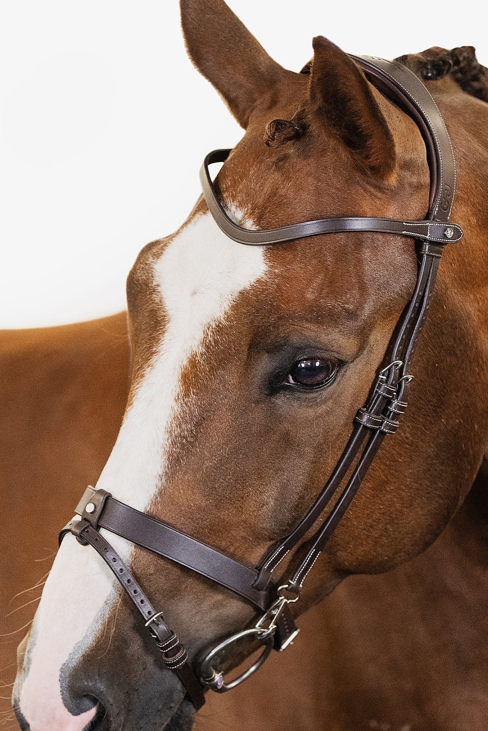 PS of Sweden London Bridle Ogłowia i wodze