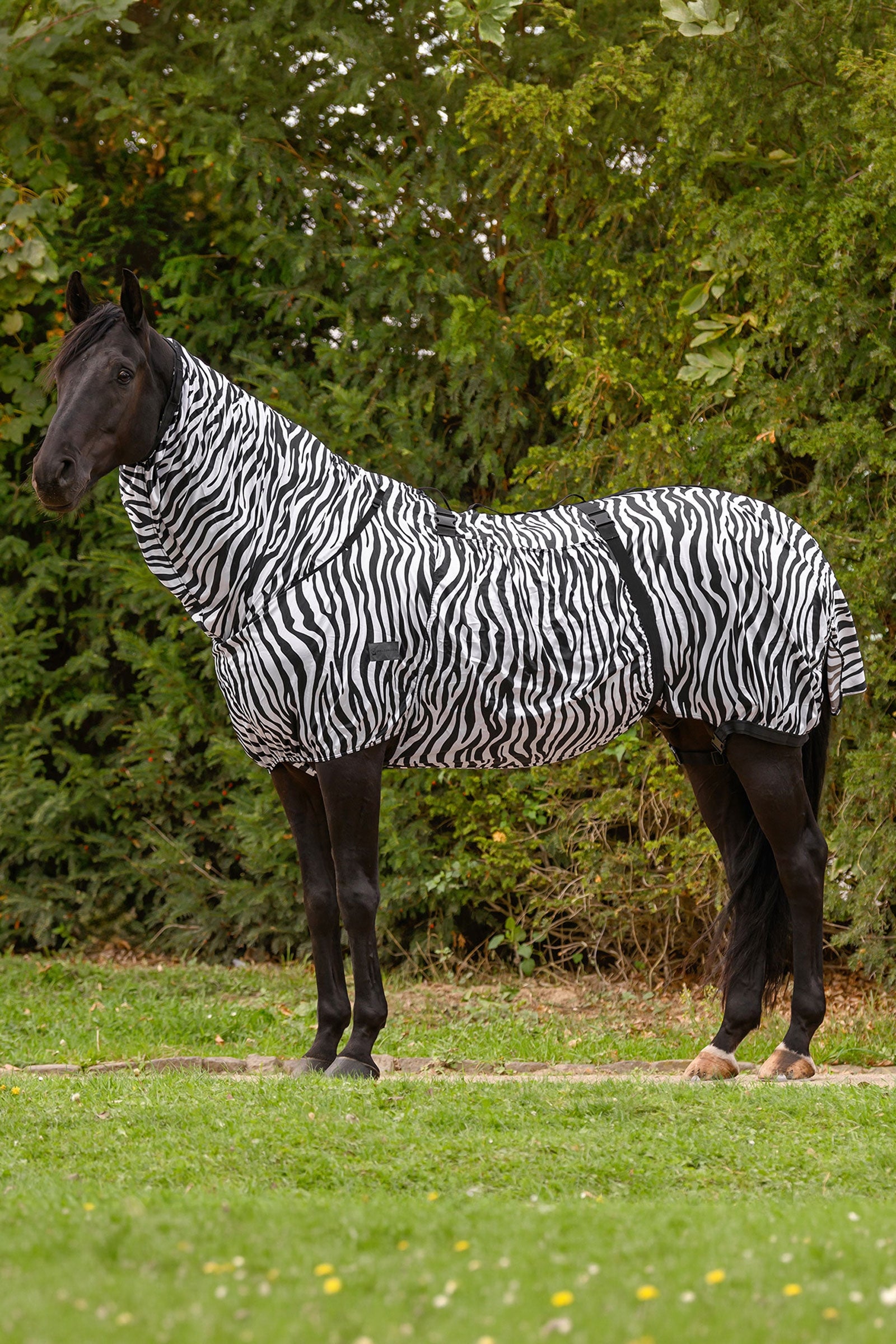 Waldhausen Basic zebra derka przeciwko egzemie z ochroną UV Derki