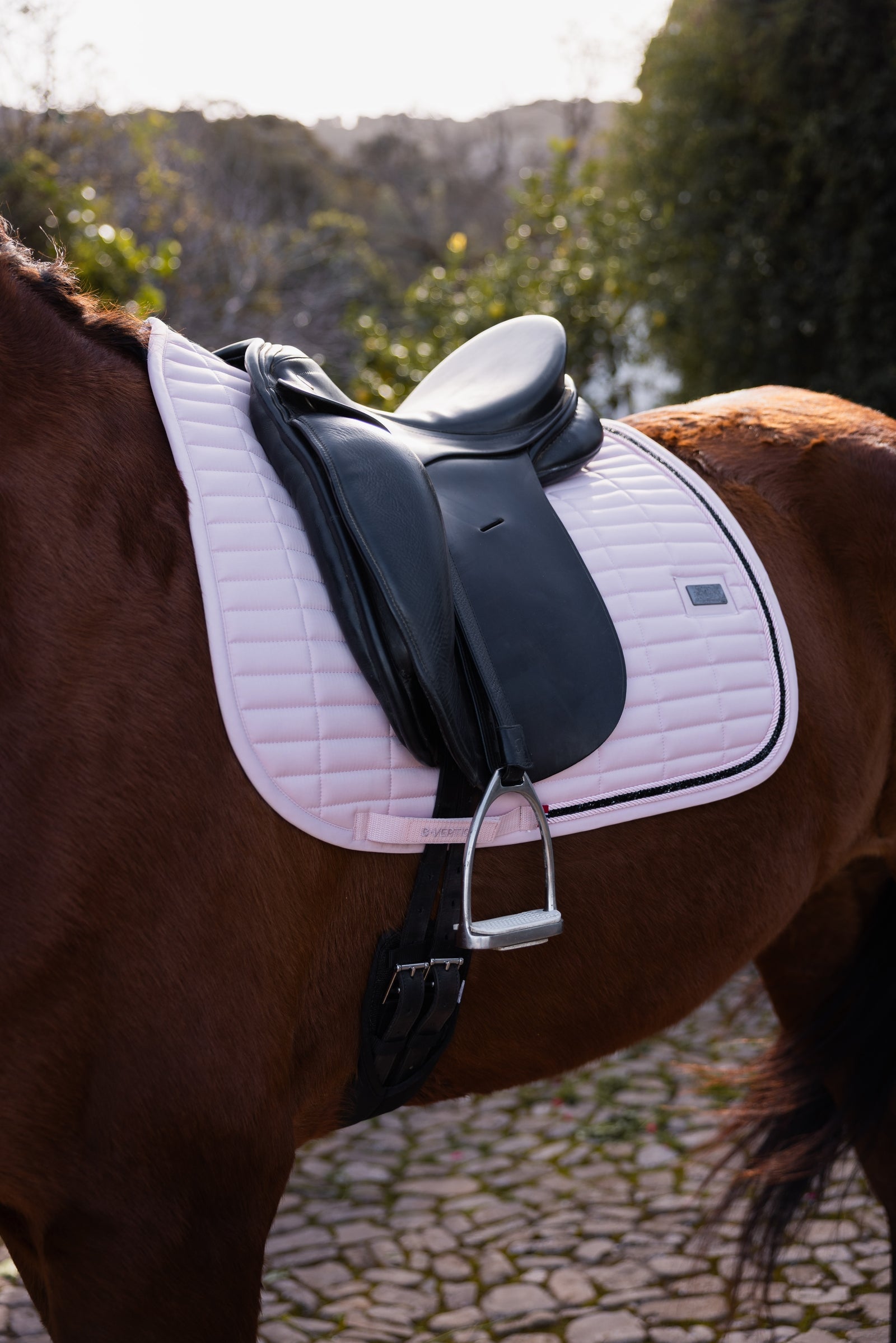 B Vertigo Daylight Dressage Saddle Pad Saddle Pads
