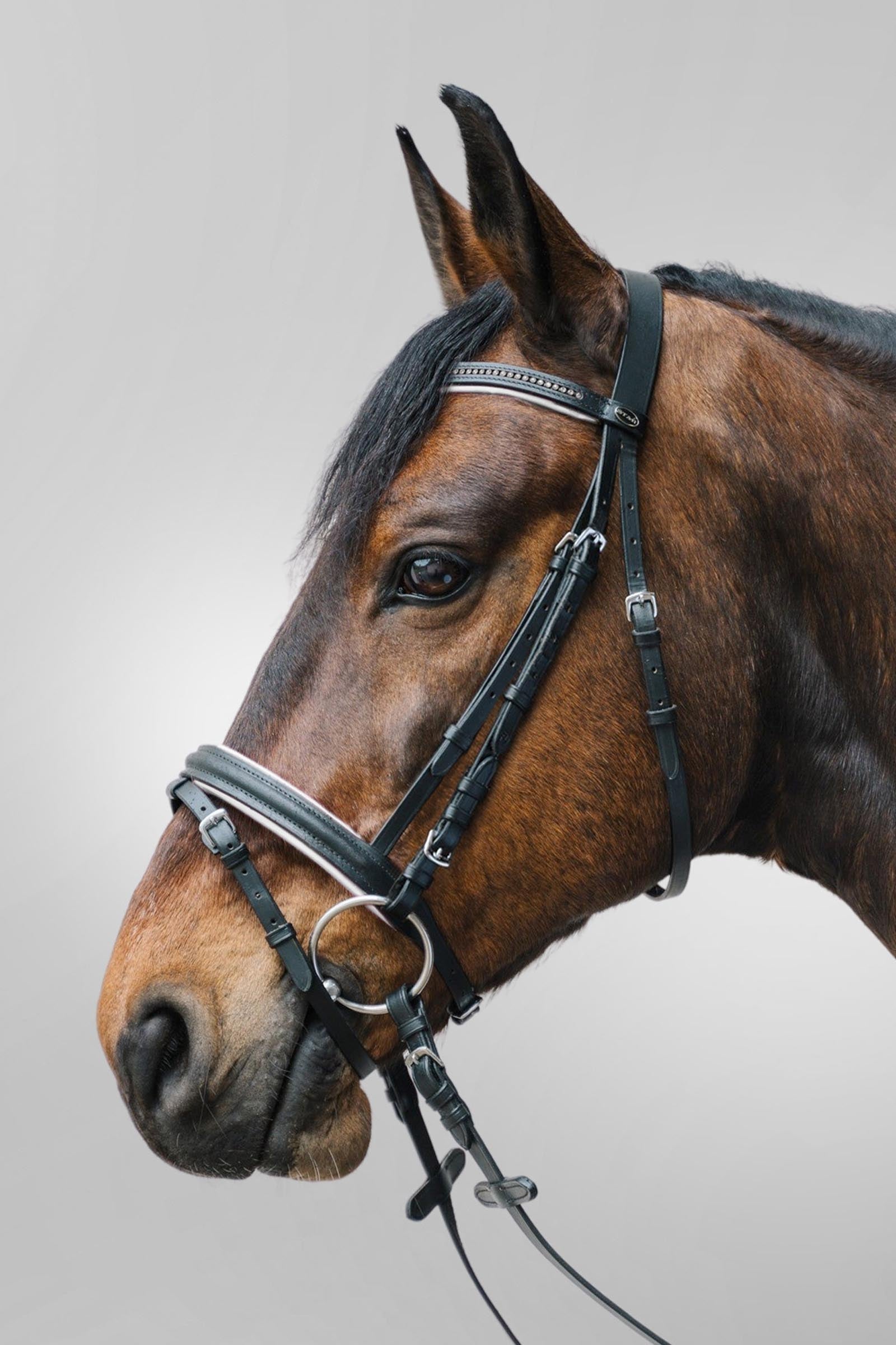 Star Diamant Bridle With Combined Noseband Bridles & Reins