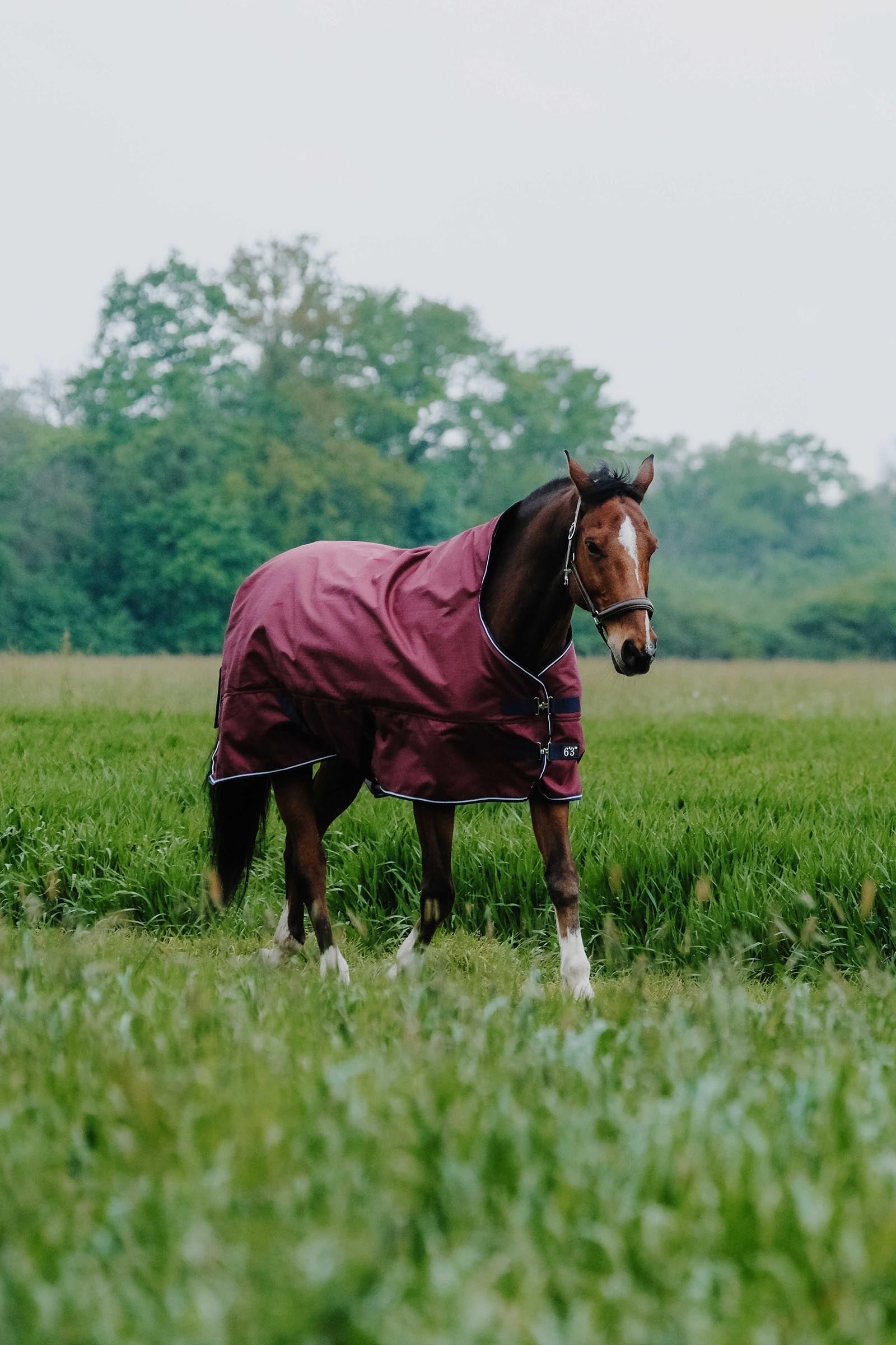 Equi Theme EQUITHÈME TYREX 1200D High Neck Rug, 0 g Horse Rugs