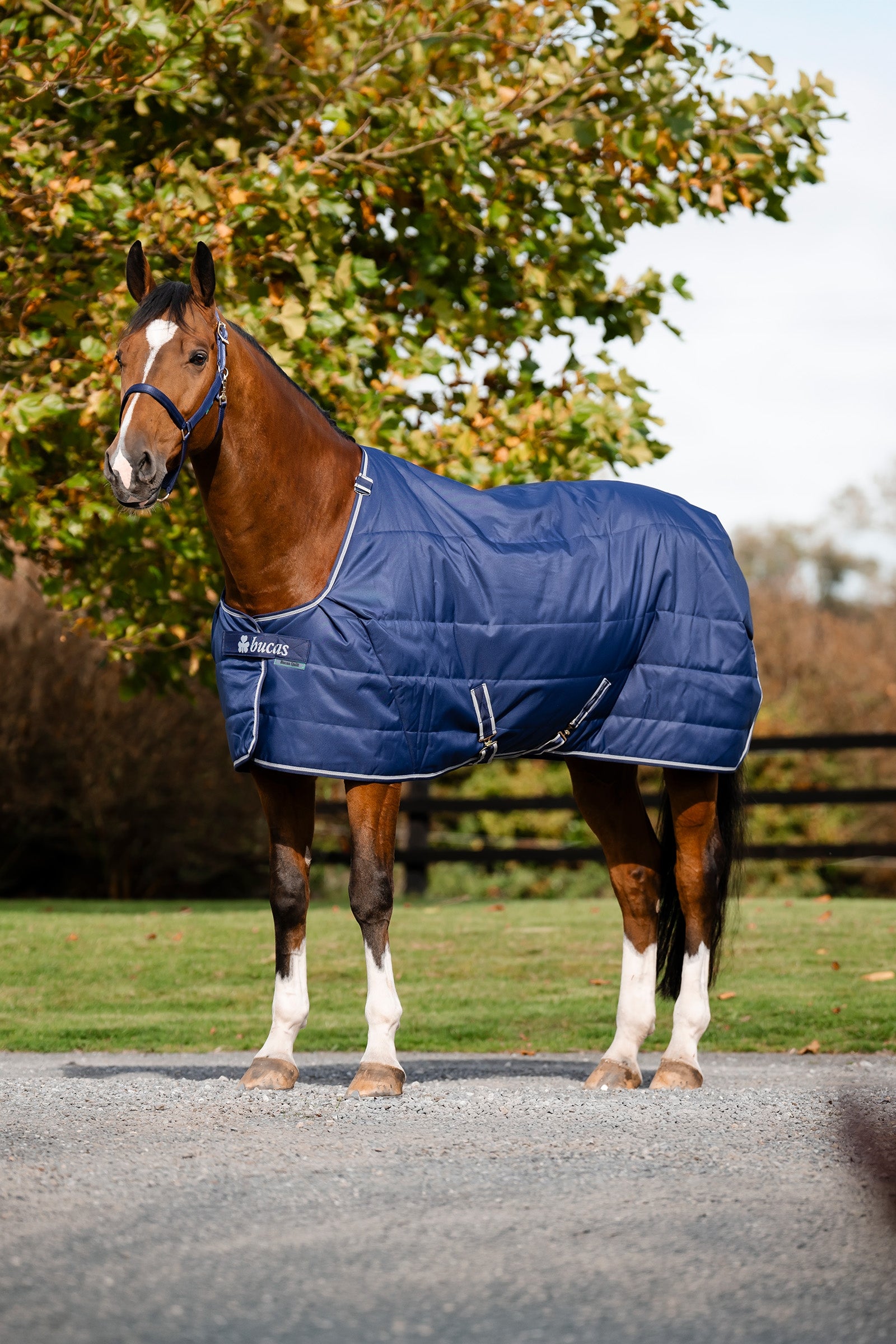 Bucas Quilt 150g SD Big Neck Horse Rugs