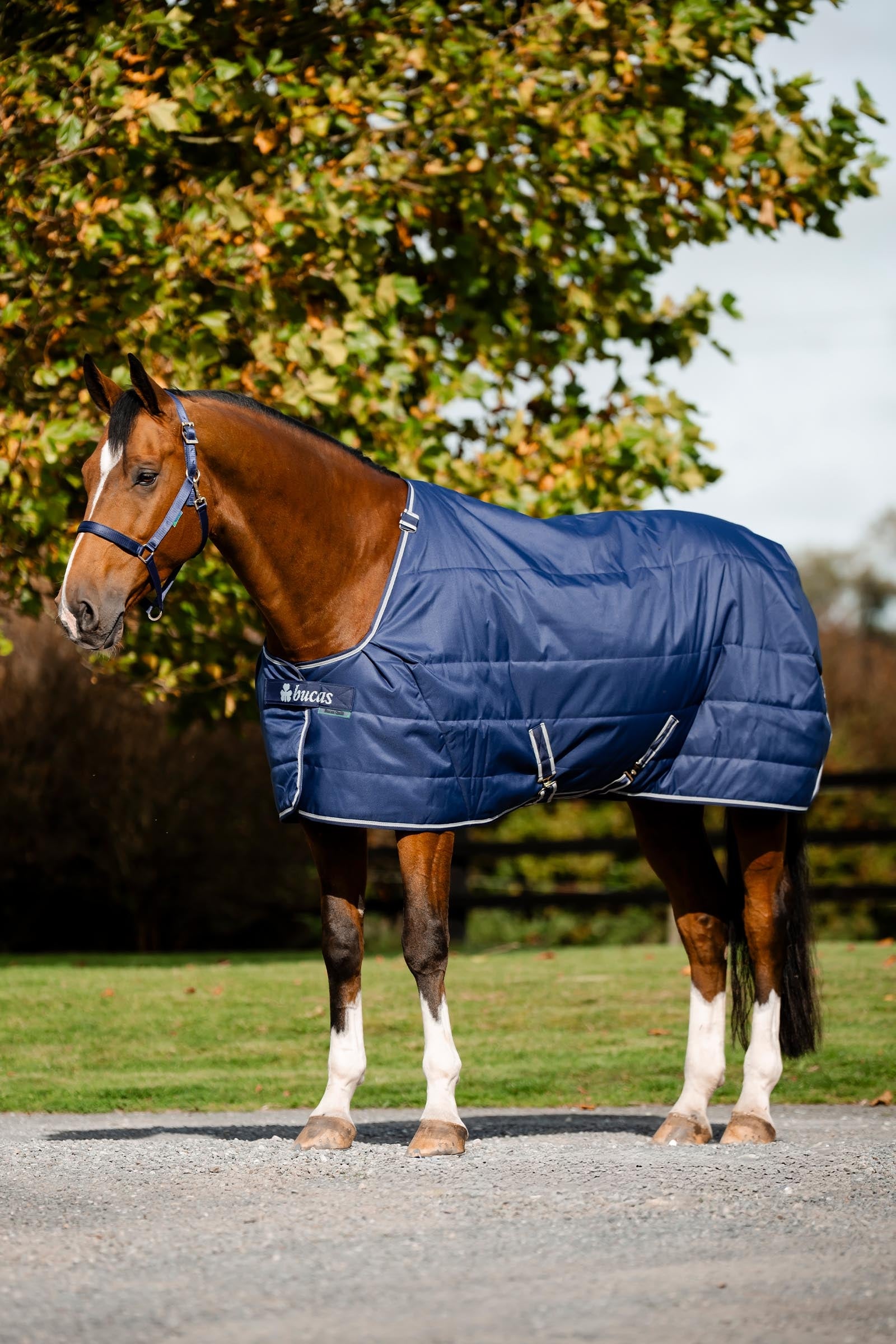 Bucas Quilt 150g SD Big Neck Horse Rugs