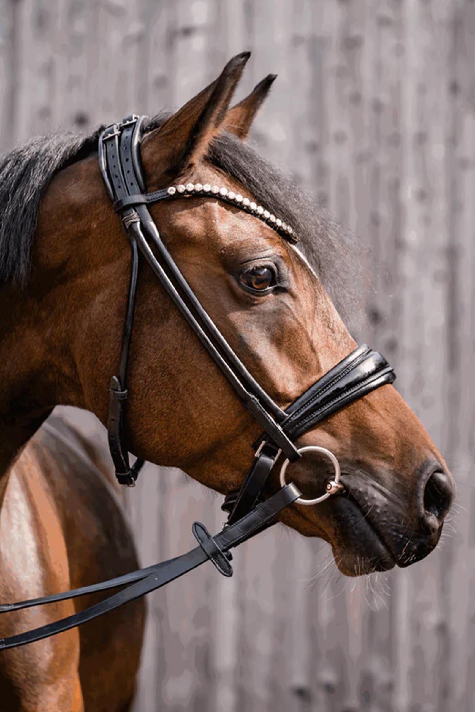 Sprenger Dynamic Rs Pony/Icel. Snaffle Bit, Single Jt. 12mm, Sensogan Horse Bits