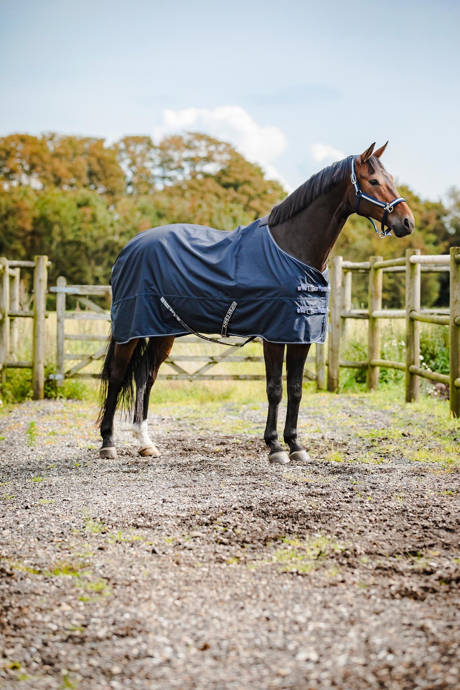 Horse Guard HorseGuard Landon 1200D Turnout Rug Standard Neck, 0 g Derki