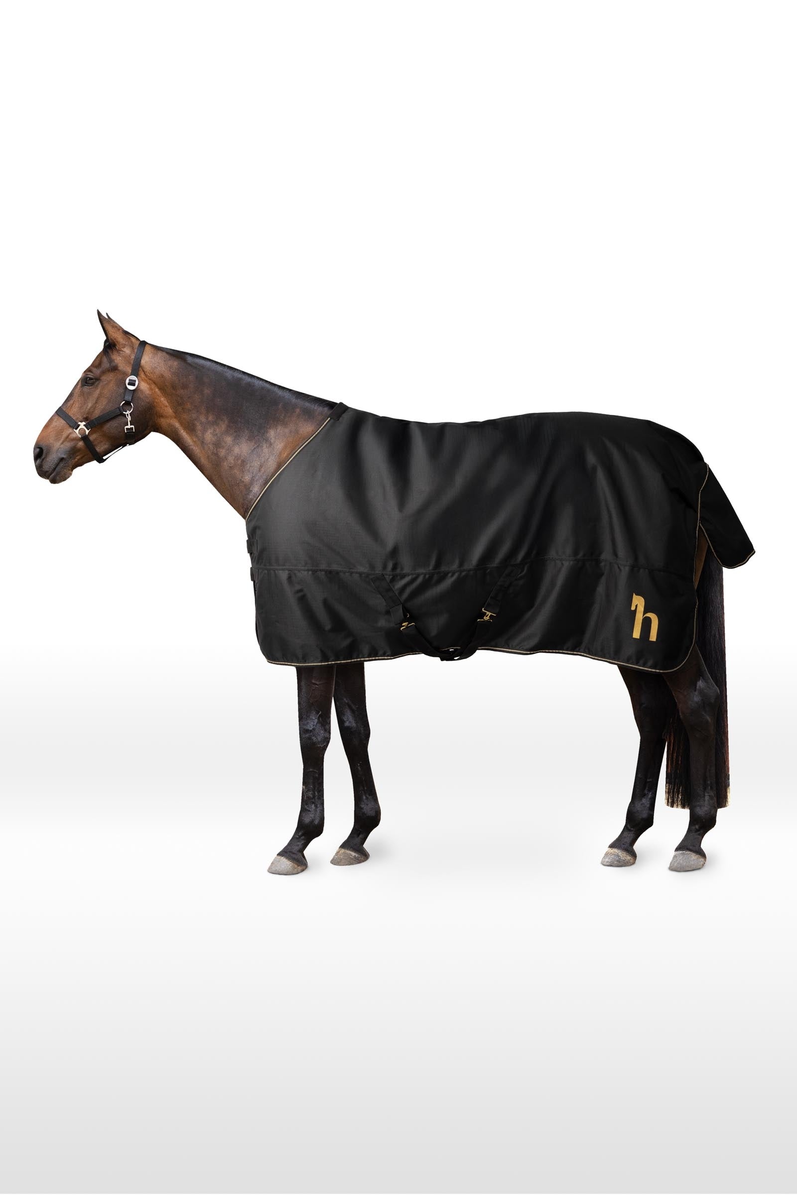 Horze 1200D Turnout Rug, 100 g Horse Rugs