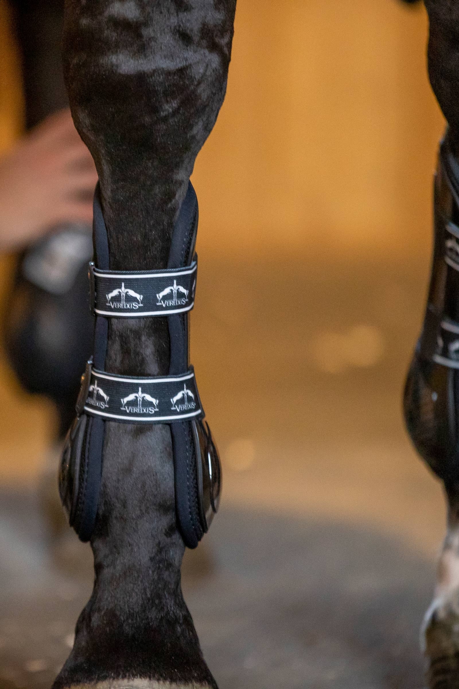 Veredus Carbon Gel Absolute Tendon Boots Leg Protection & Hoof Protection for Horses