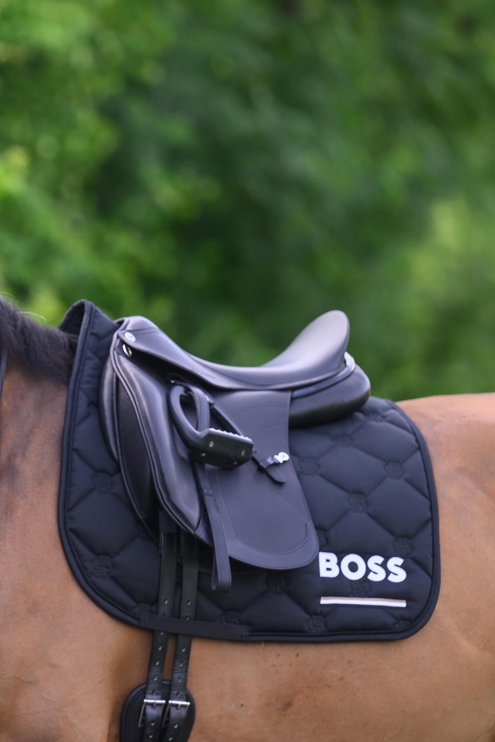 BOSS Equestrian Boss Cambridge Dressage Saddle Pad Saddle Pads