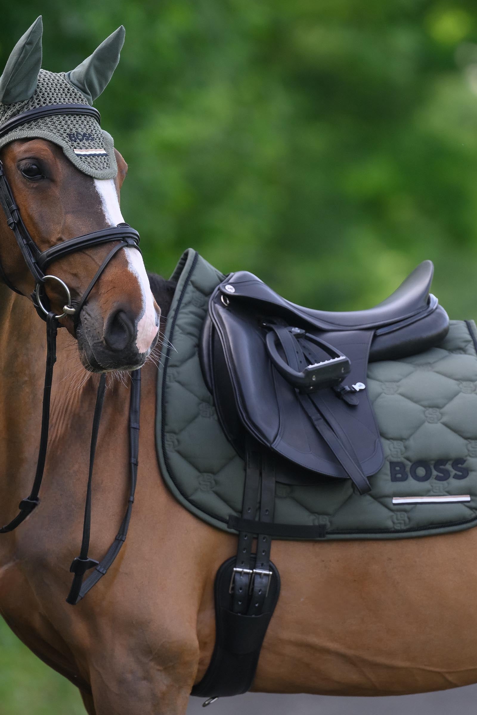 BOSS Equestrian Boss Cambridge Dressage Saddle Pad Saddle Pads