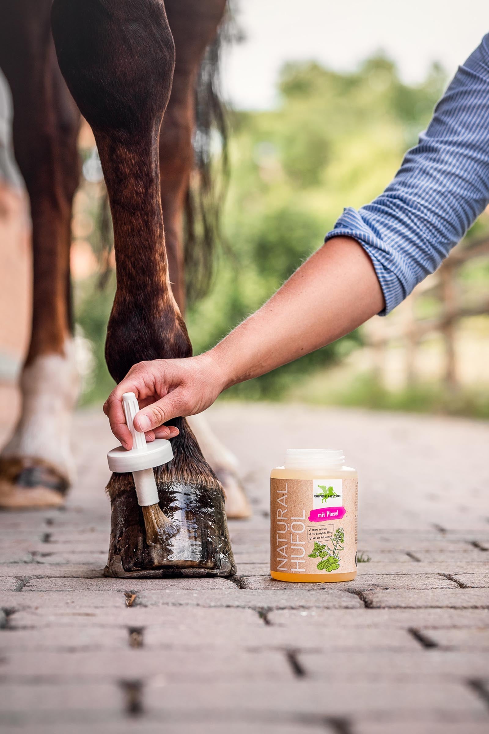 Bense & Eicke Natural Hoof Oil With Brush, 450ml Horse Health Care