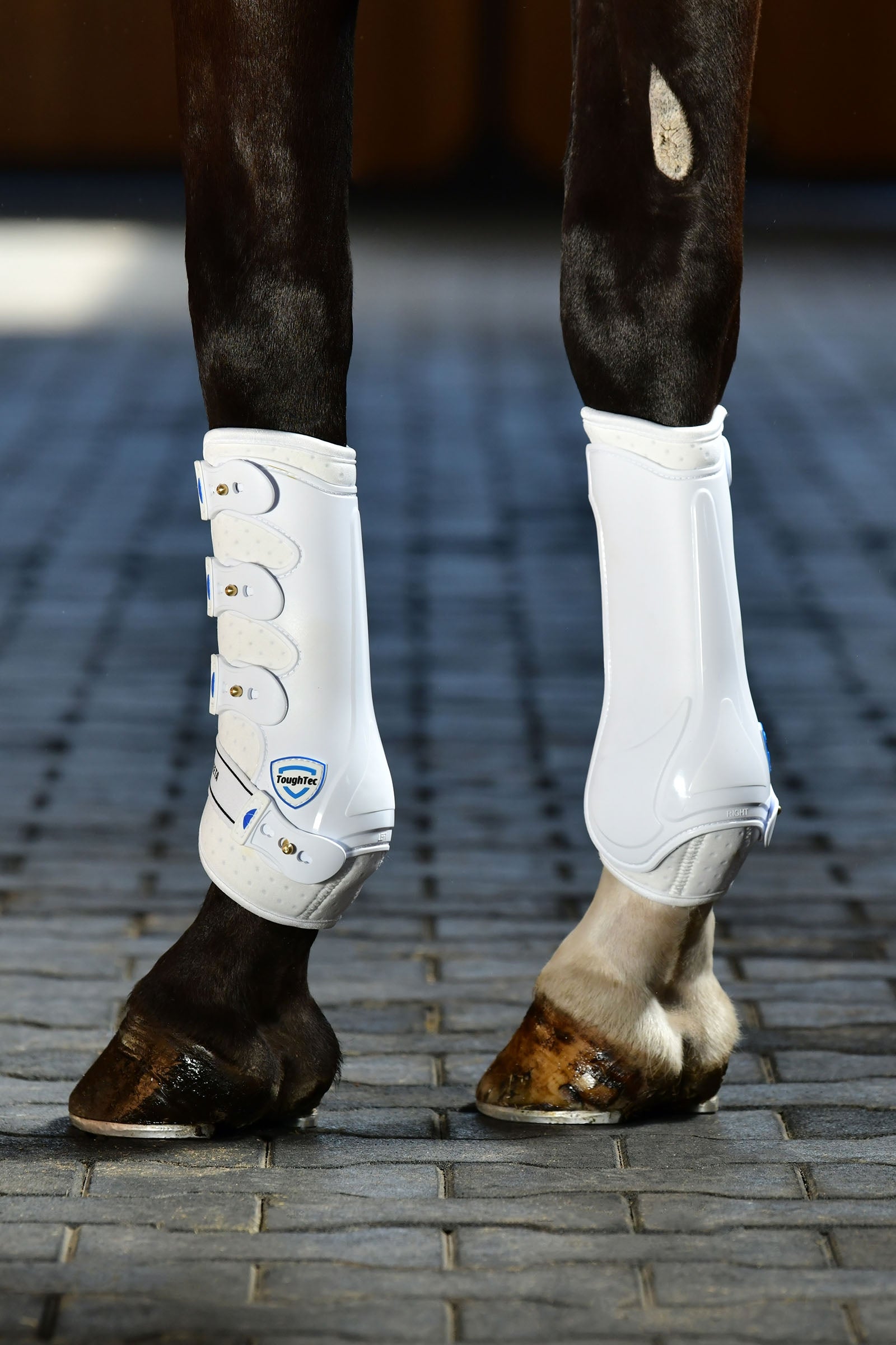 Weatherbeeta Tough-Tec Hard Shell Dressage Boots Leg Protection & Hoof Protection for Horses