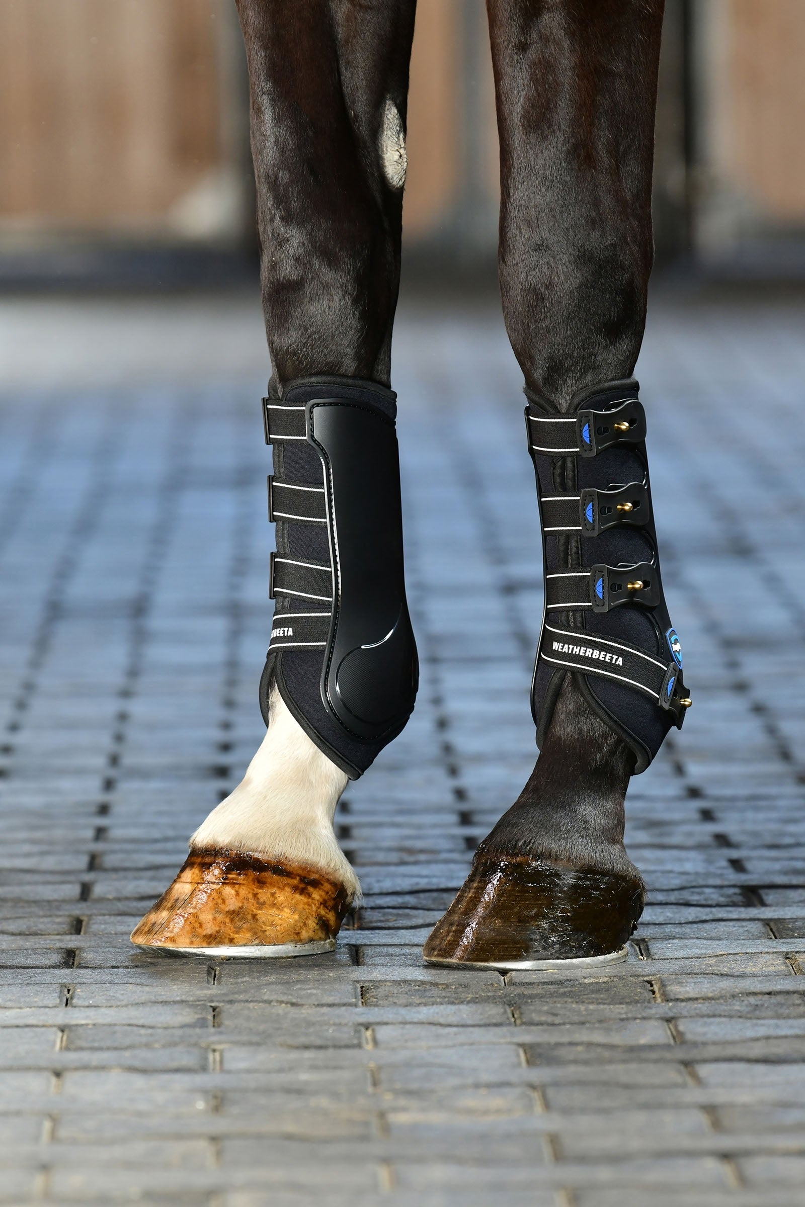 Weatherbeeta Tough-Tec Hard Shell Dressage Boots Leg Protection & Hoof Protection for Horses