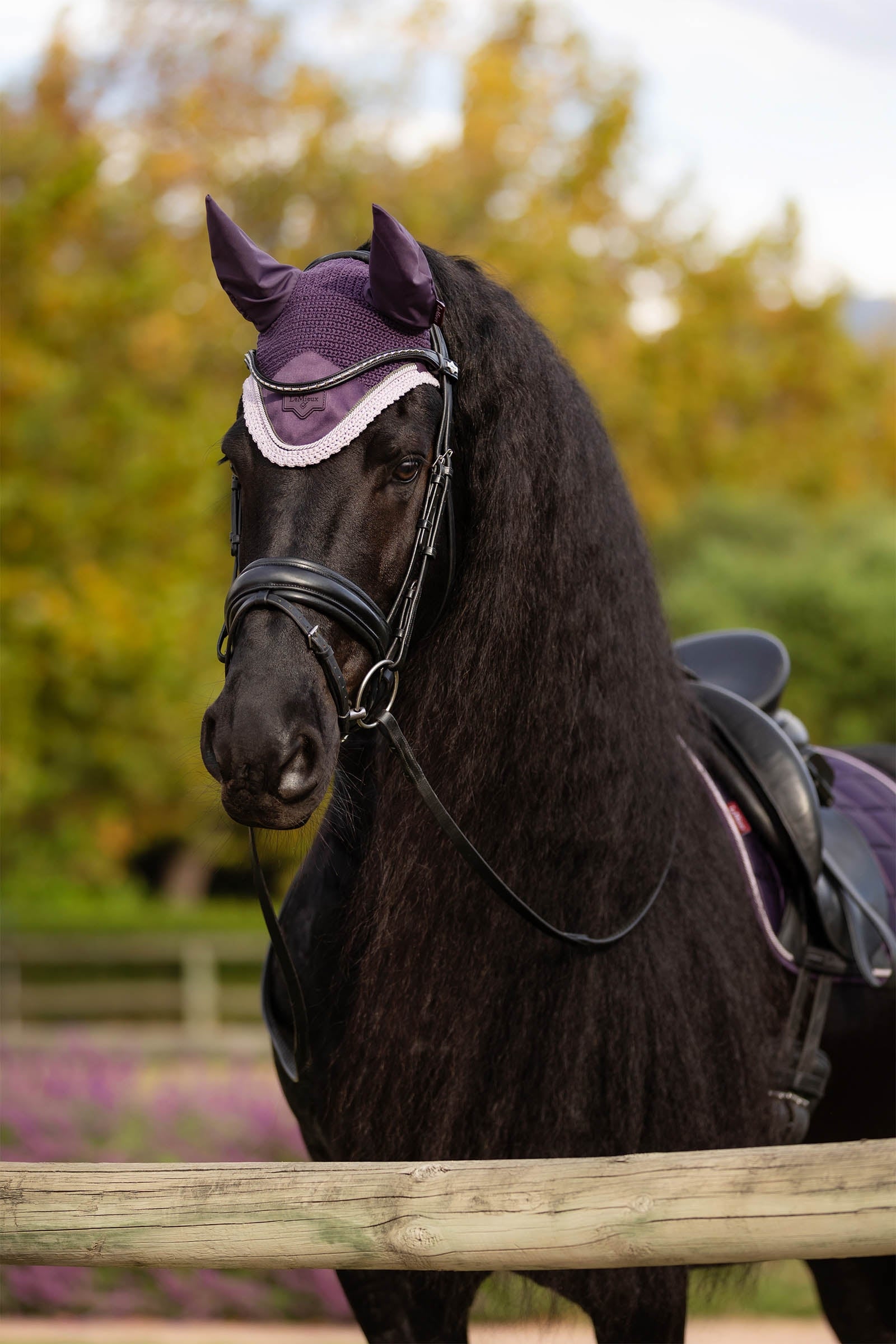 LeMieux Loire Fly Hood Saddle Pads