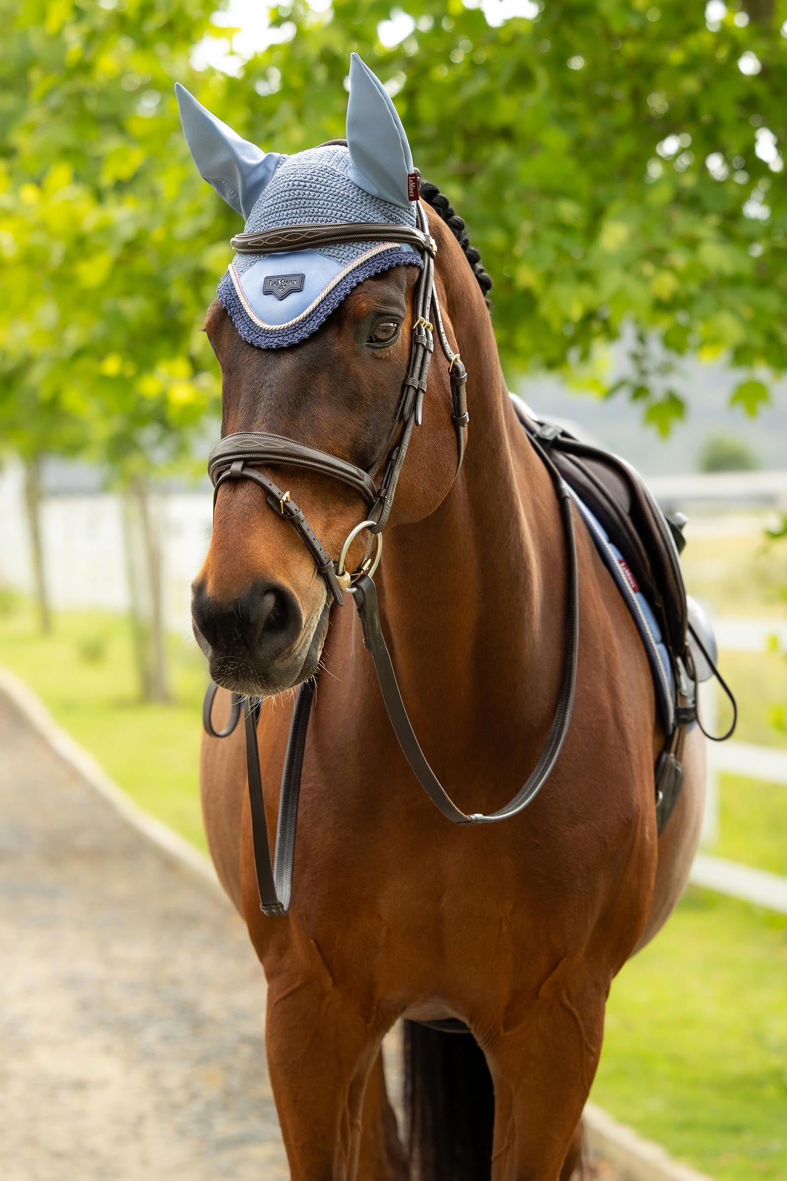 LeMieux Loire Fly Hood Saddle Pads