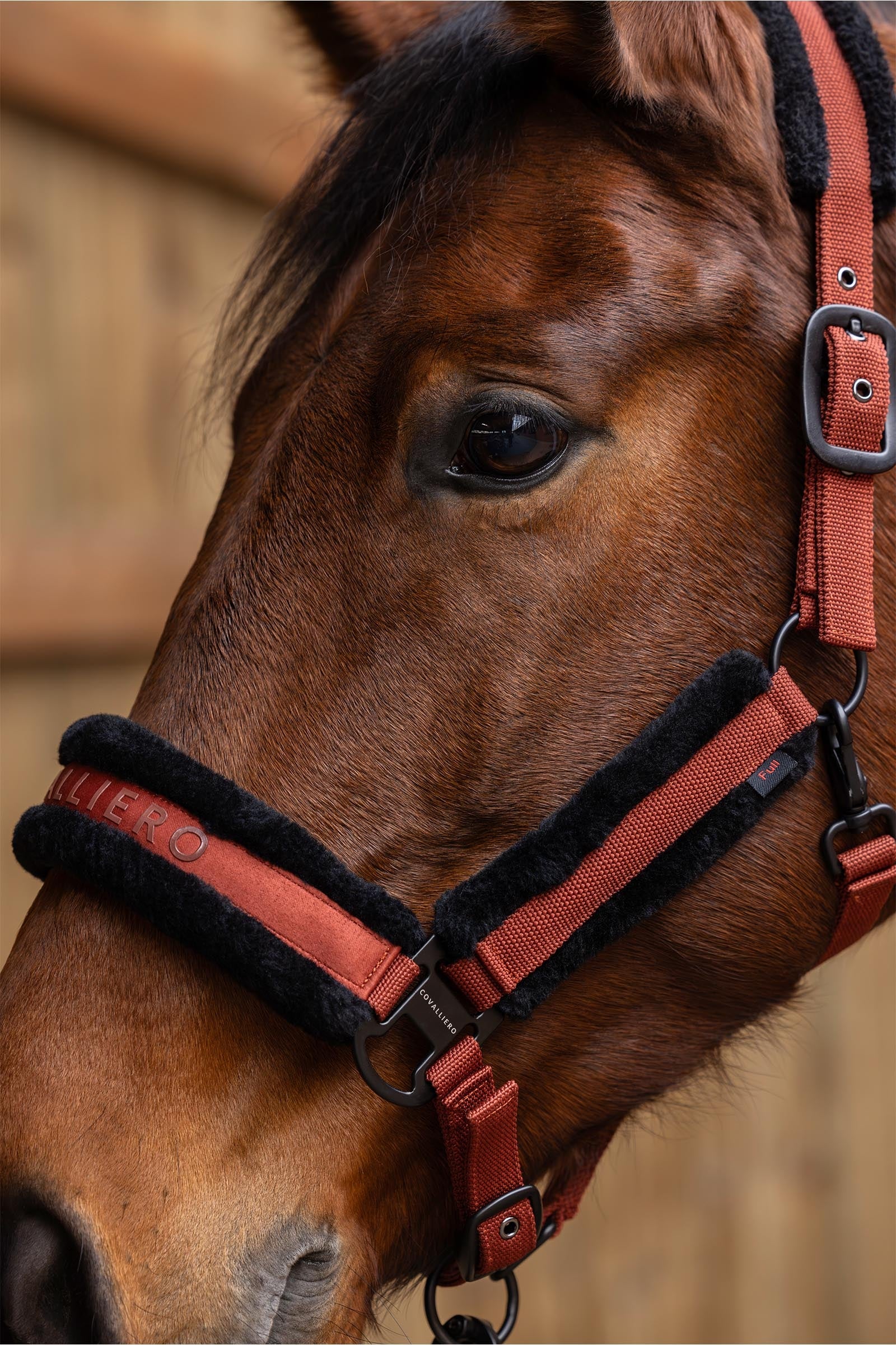 Covalliero Padded Halter Halters & Leads