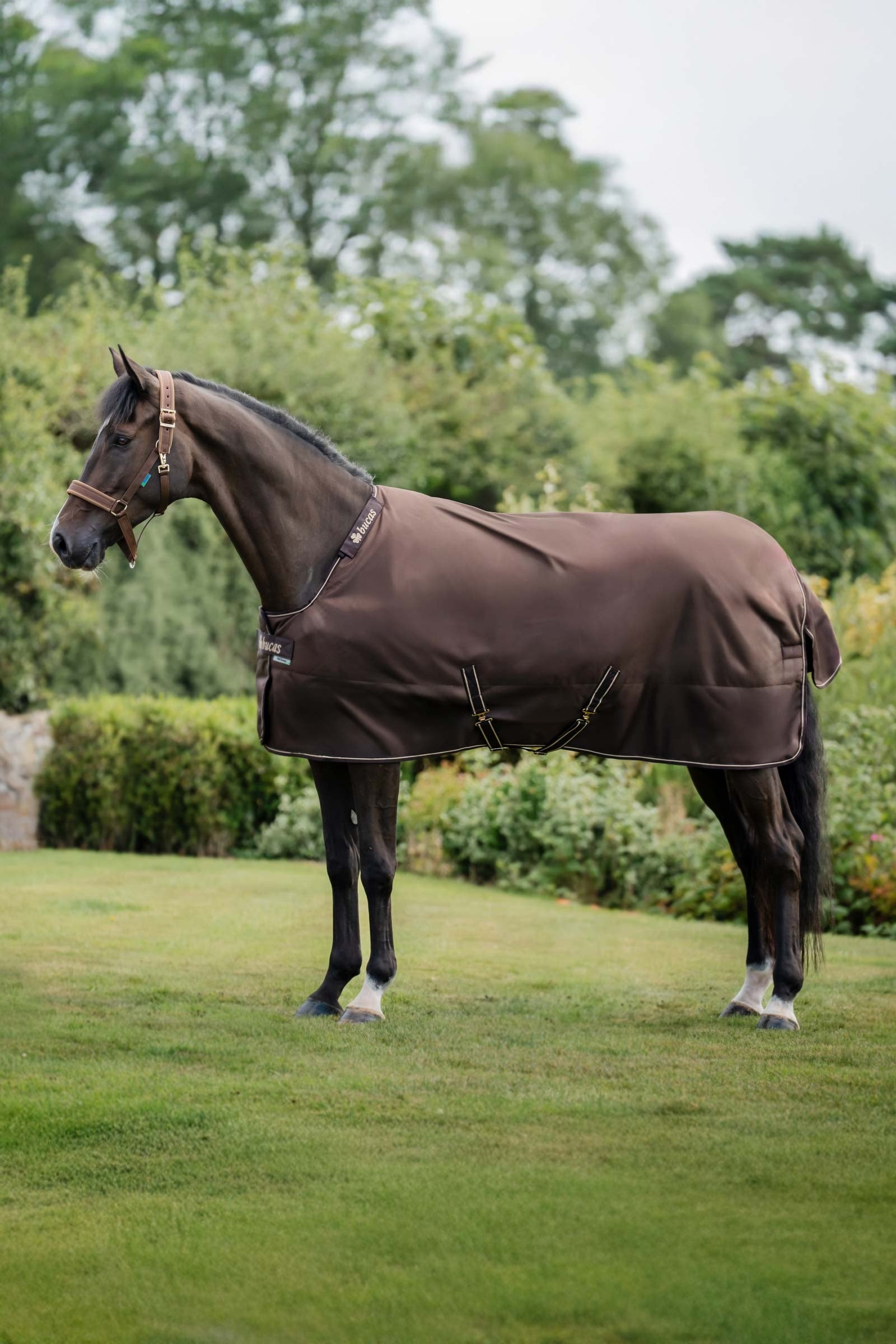 Bucas Irish Turnout 150 g Rug & Neck Set Derki