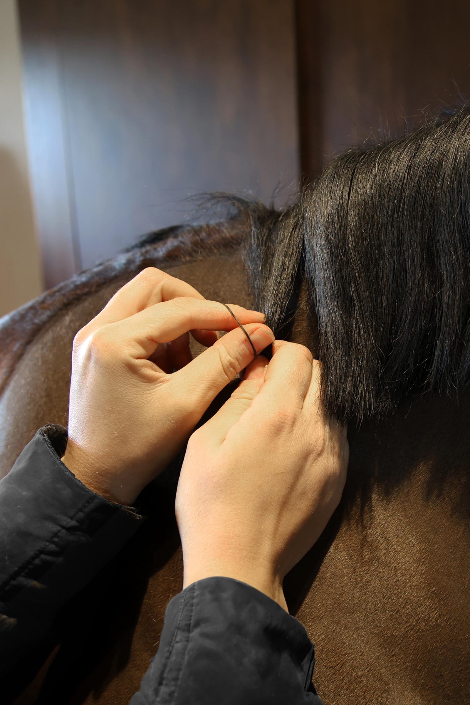Grooming Deluxe Rubber Bands (1500 pcs) Horse Grooming Tools