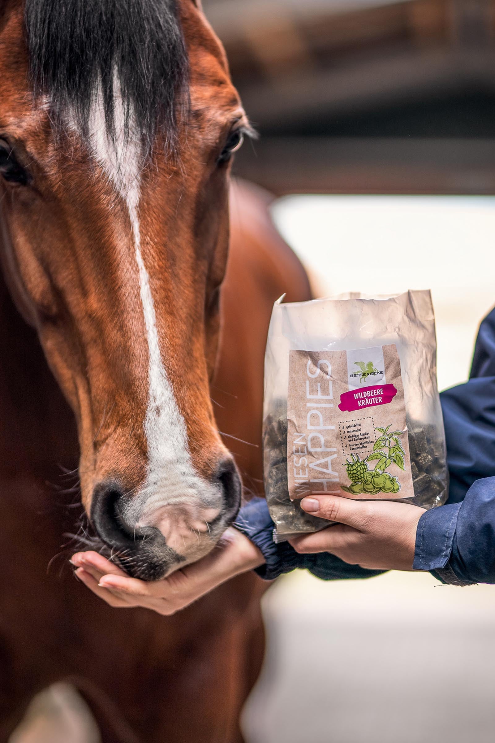 Bense & Eicke Meadow Happies Wild Berry Herbs, 1 kg Horse Feed & Nutrition