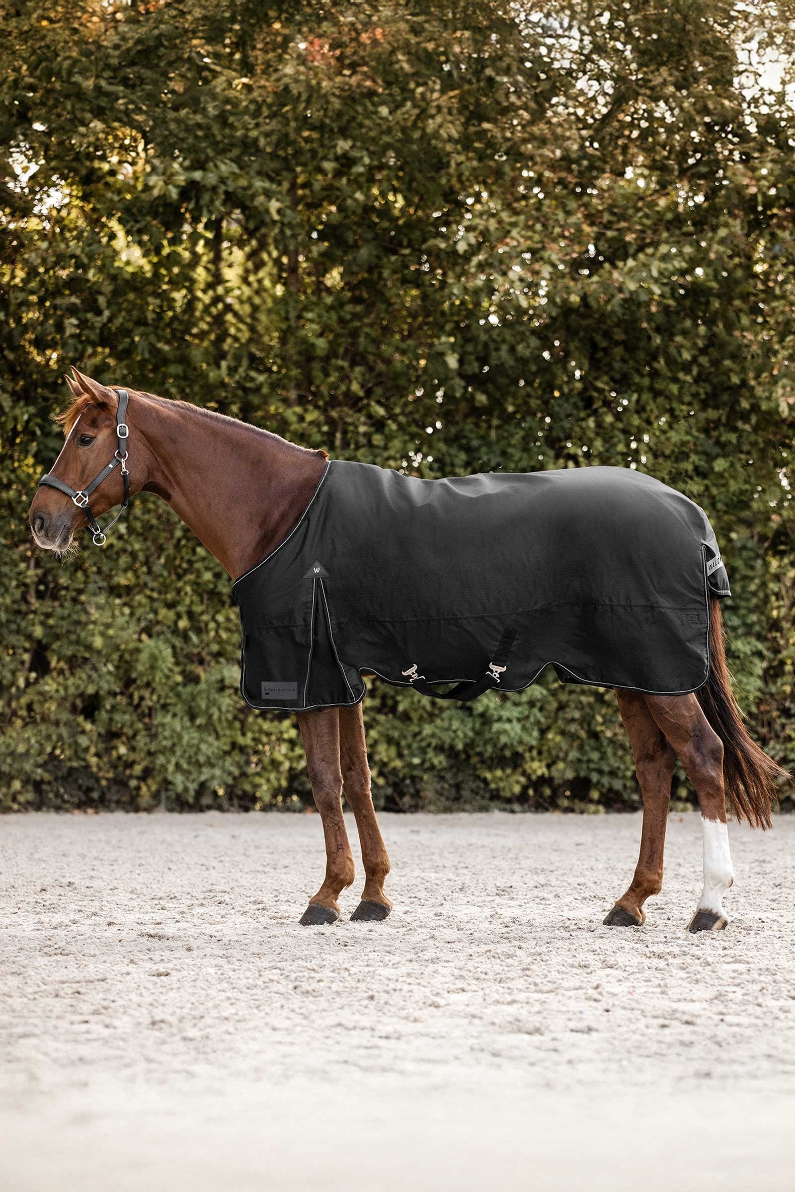Waldhausen Arctic Turnout Rug, 50 g Horse Rugs
