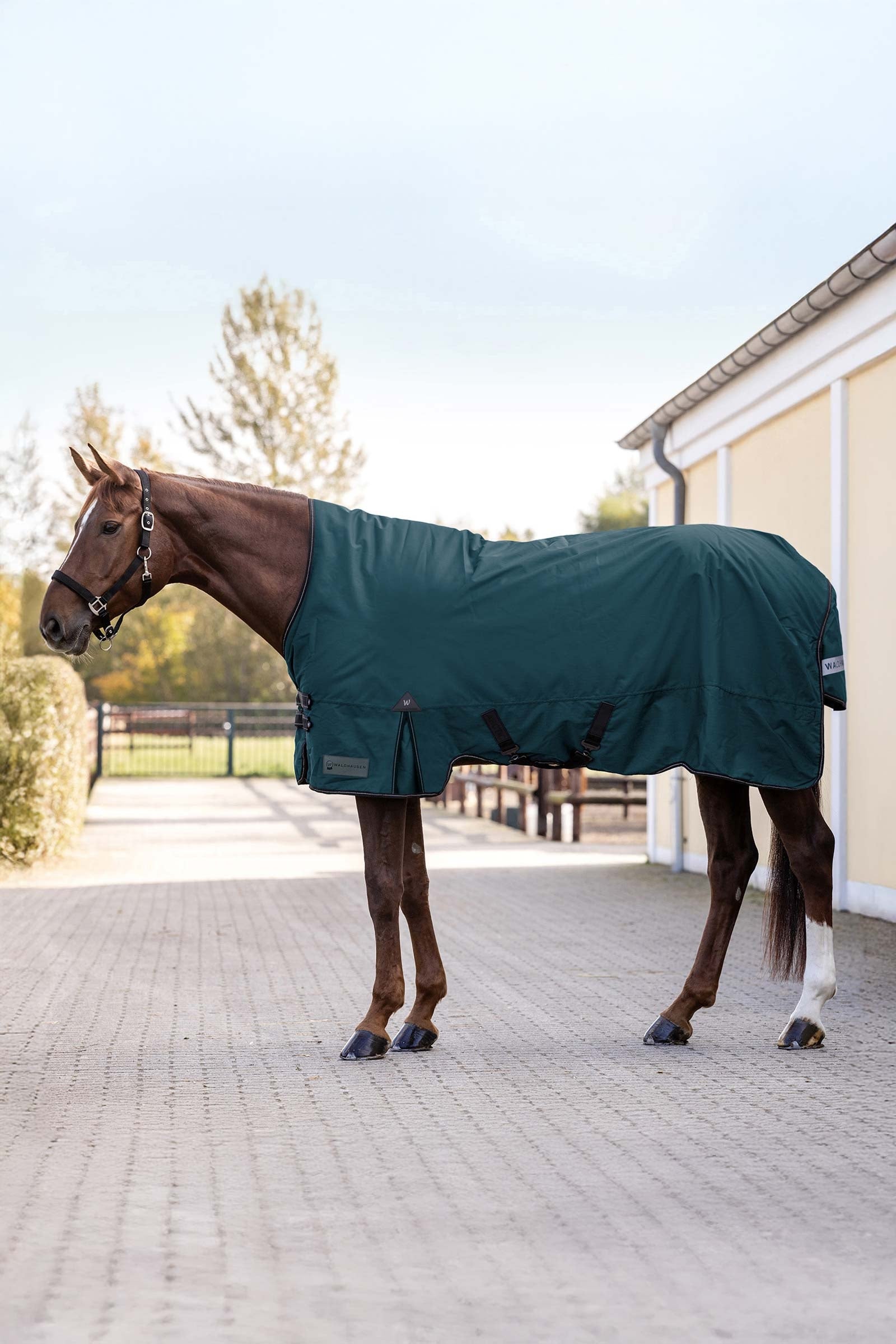 Waldhausen Arctic Turnout Rug, 50 g Horse Rugs