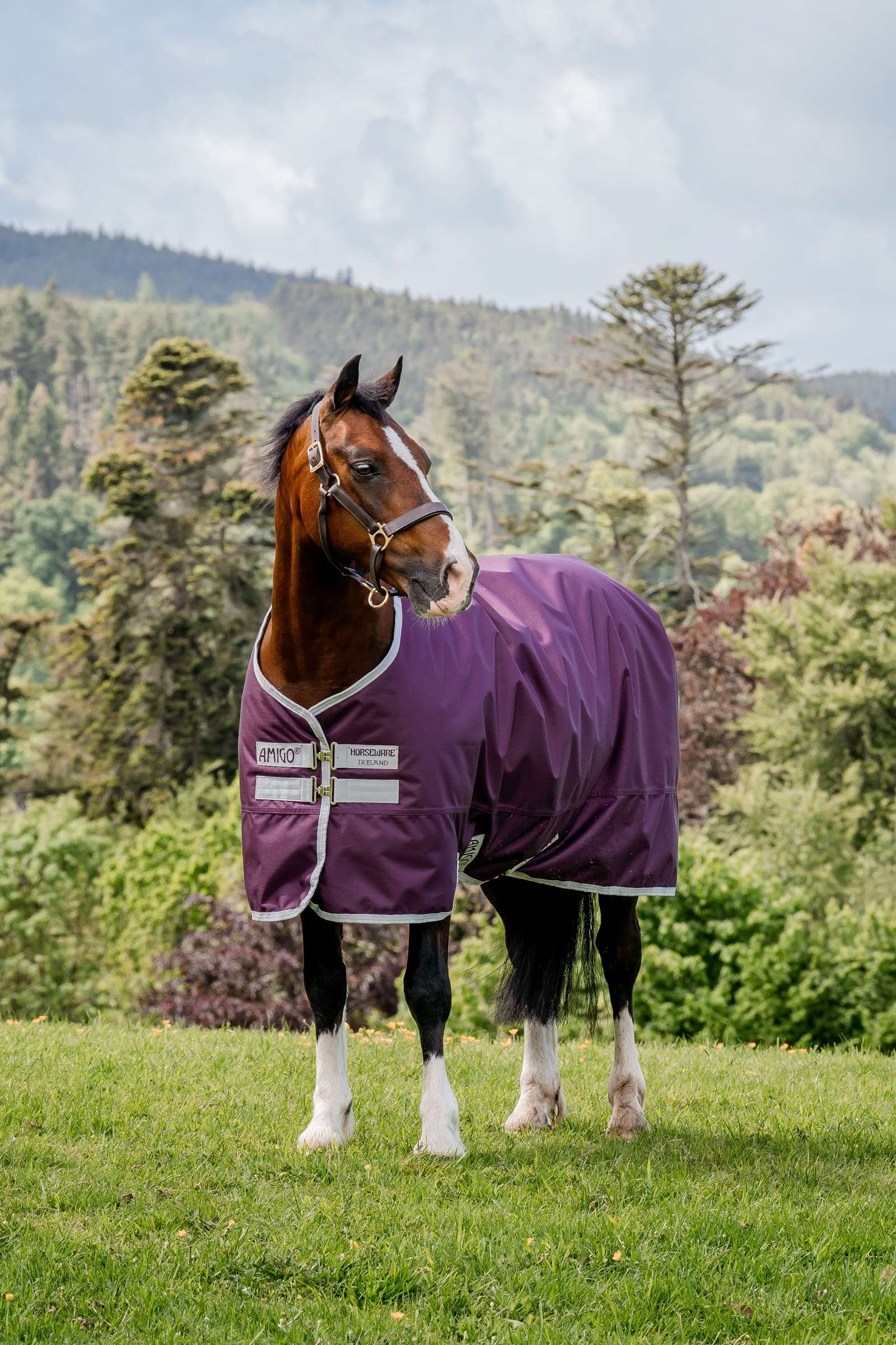 Horseware Amigo Hero Ripstop derka padokowa, 50g Derki