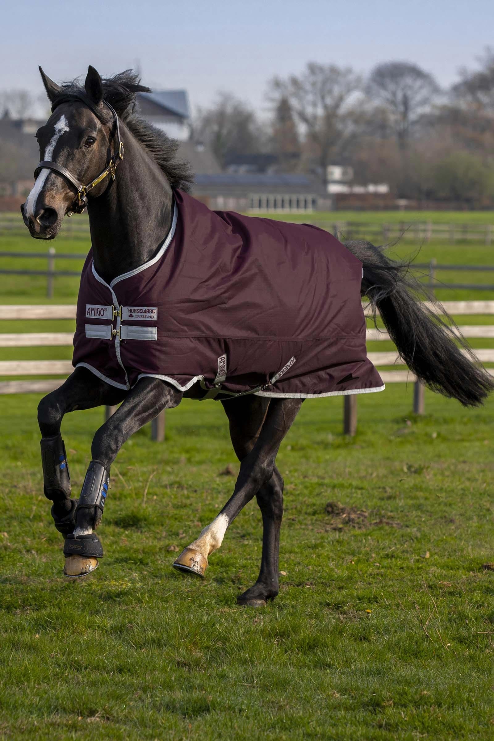 Horseware Amigo Hero Ripstop Turnout Rug, 50g Horse Rugs