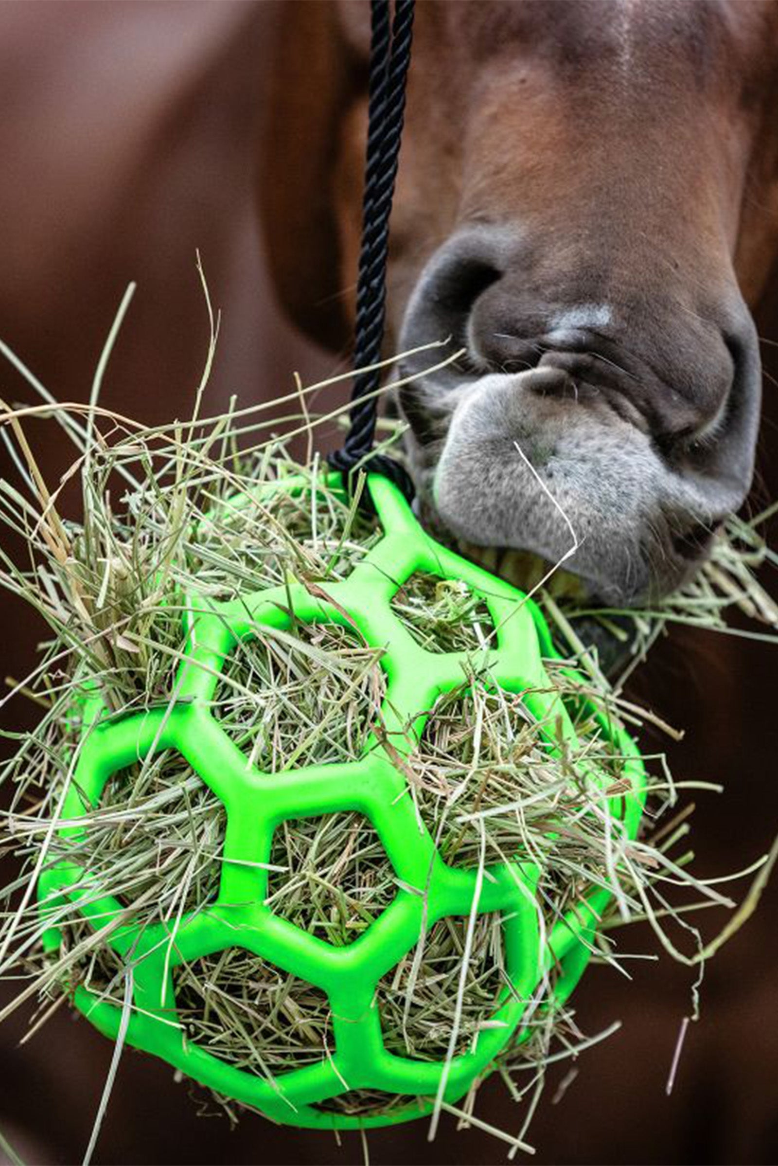 Waldhausen Piłka siana Waldhausen Karmienie i pojenie