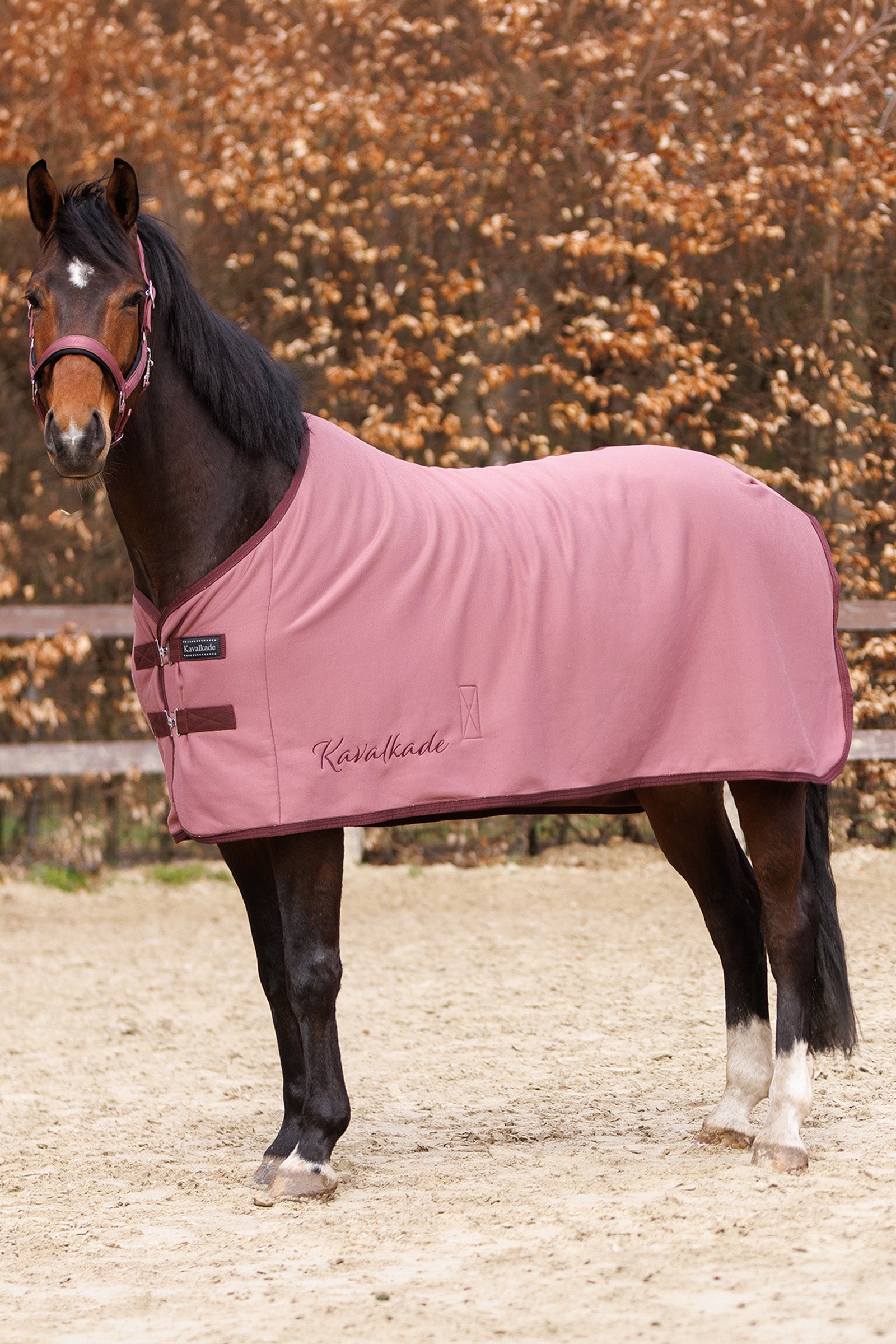 Kavalkade Graceful Jersey Rug Horse Rugs