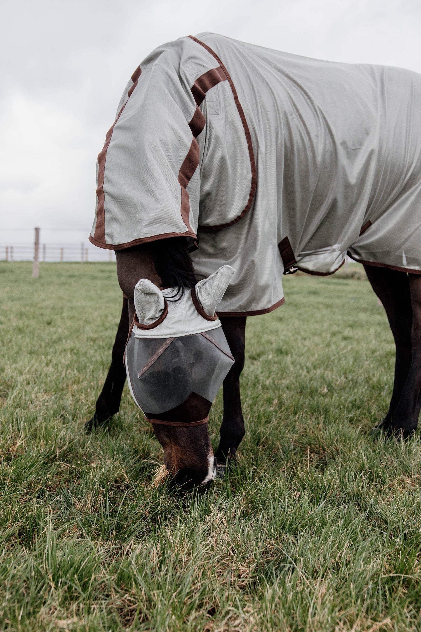 Kentucky Horsewear Classic Mesh Fly Rug Horse Rugs