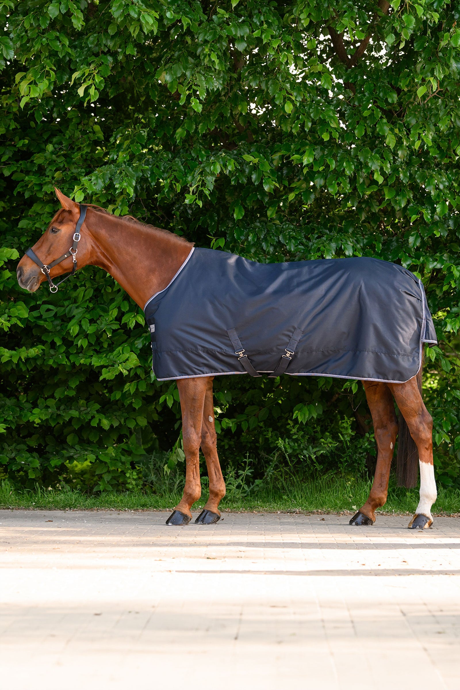 Waldhausen ECONOMIC Light Outdoor Rug Horse Rugs
