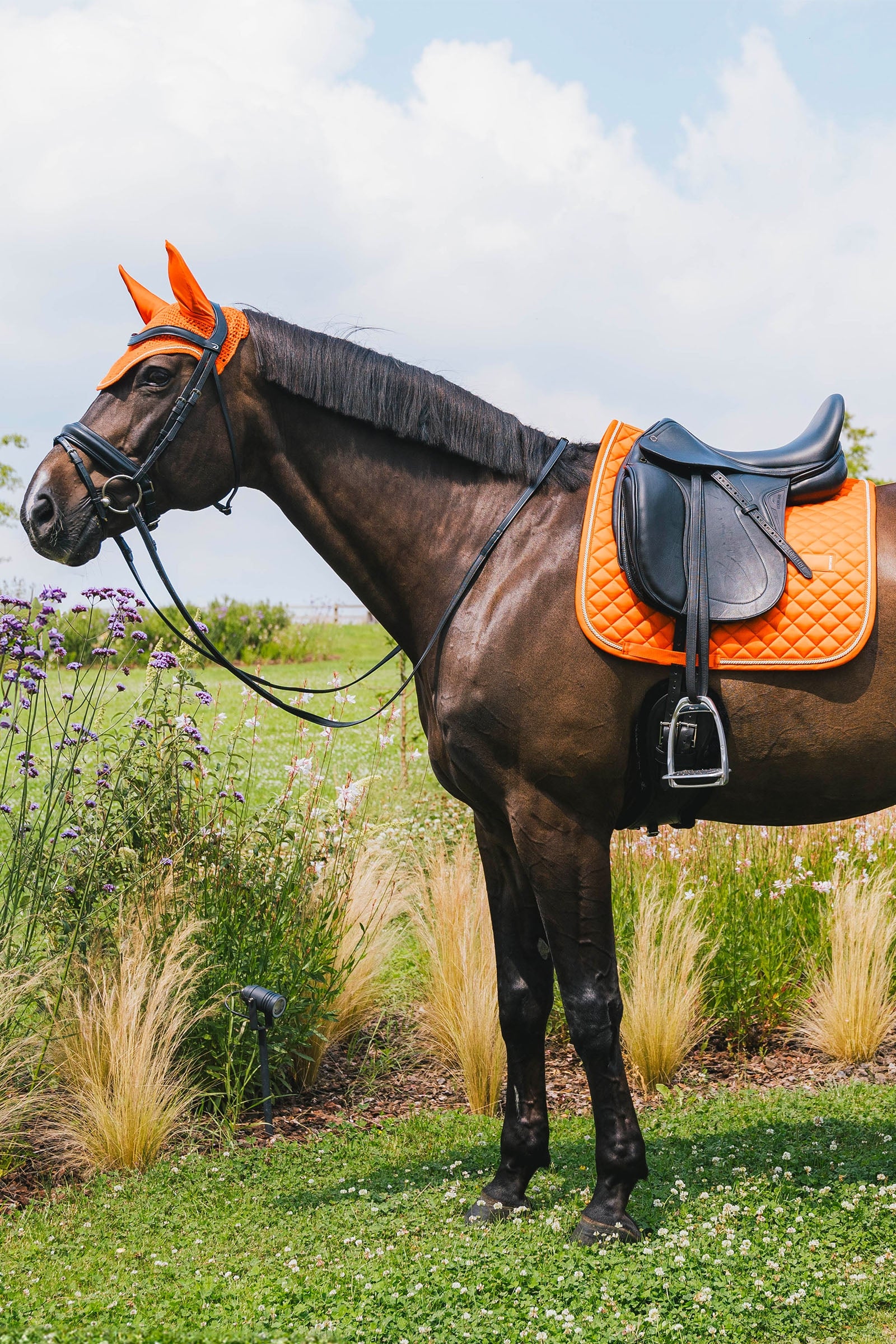 Kentucky Horsewear Dressage Saddle Pad diamond rope Saddle Pads