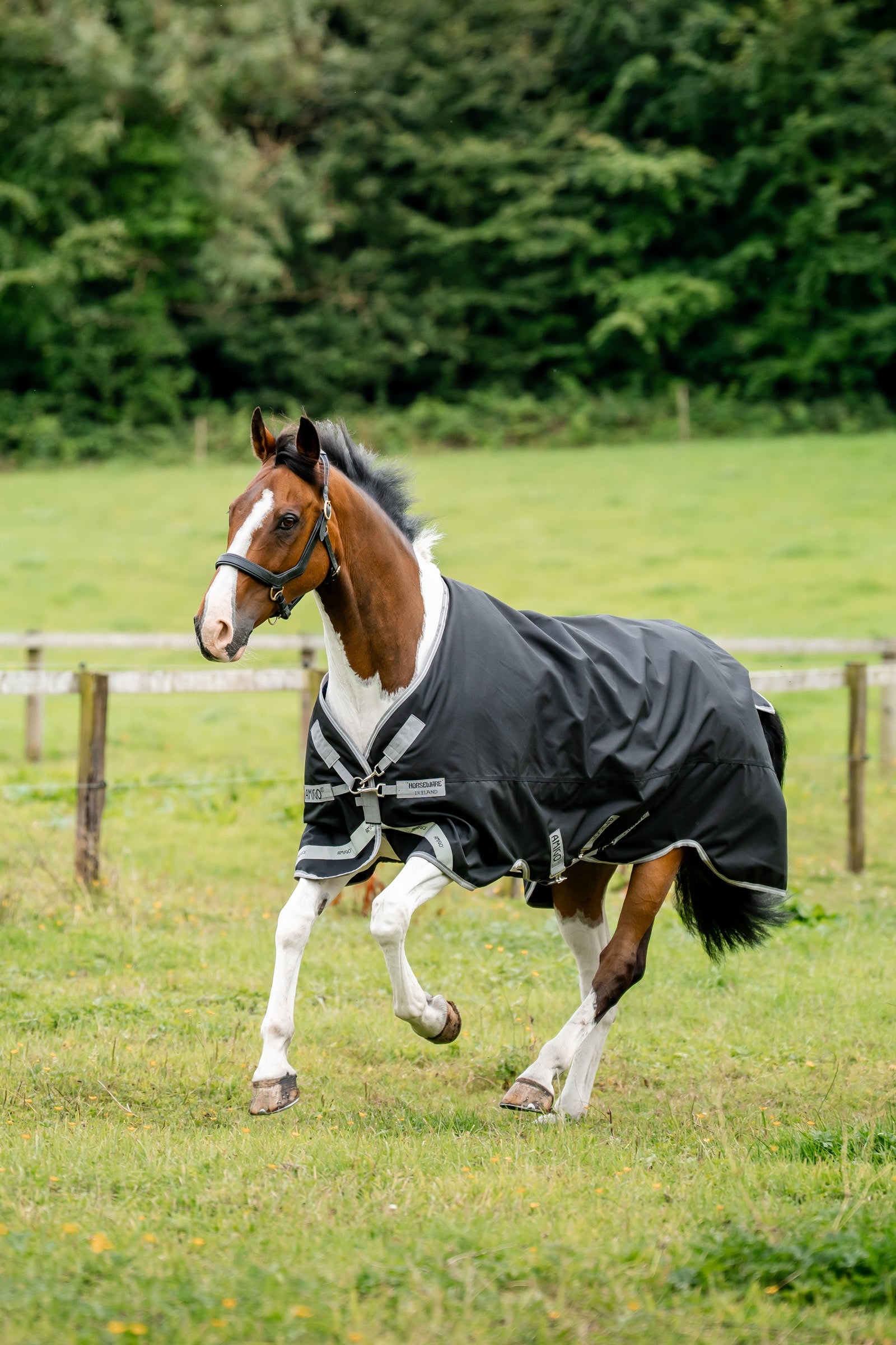 Horseware Amigo 1200D derka padokowa, 50 g Derki