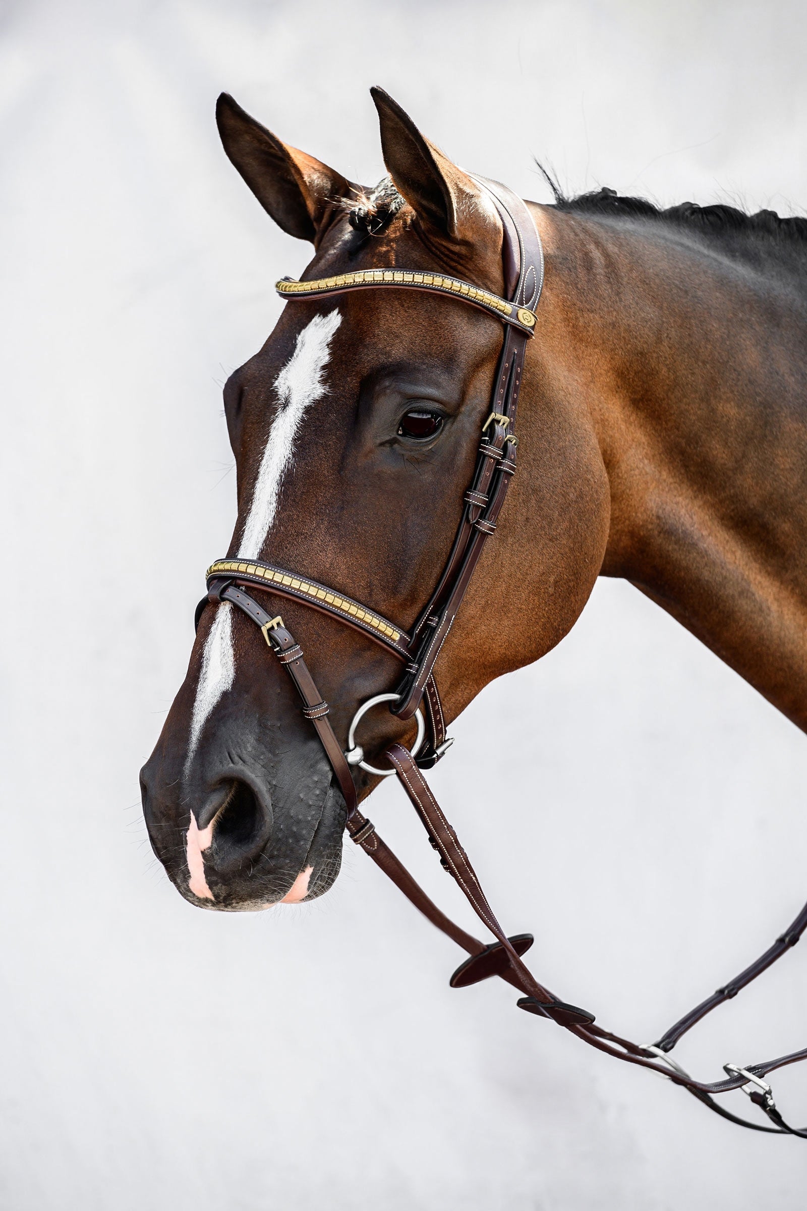 PS of Sweden Antwerp 2.0 Bridle Ogłowia i wodze