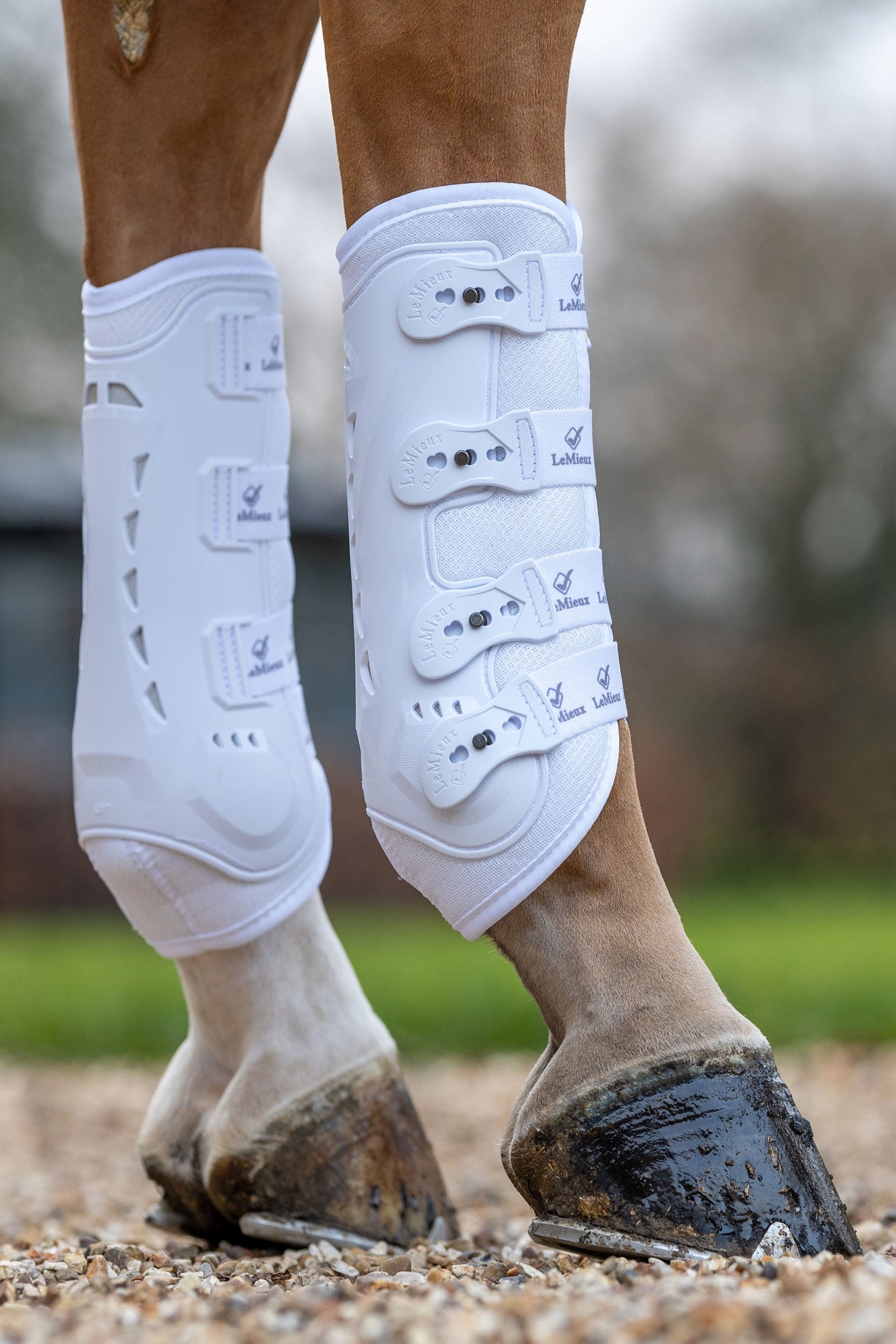 LeMieux Ultra Mesh Snug Boots, Hind Leg Protection & Hoof Protection for Horses