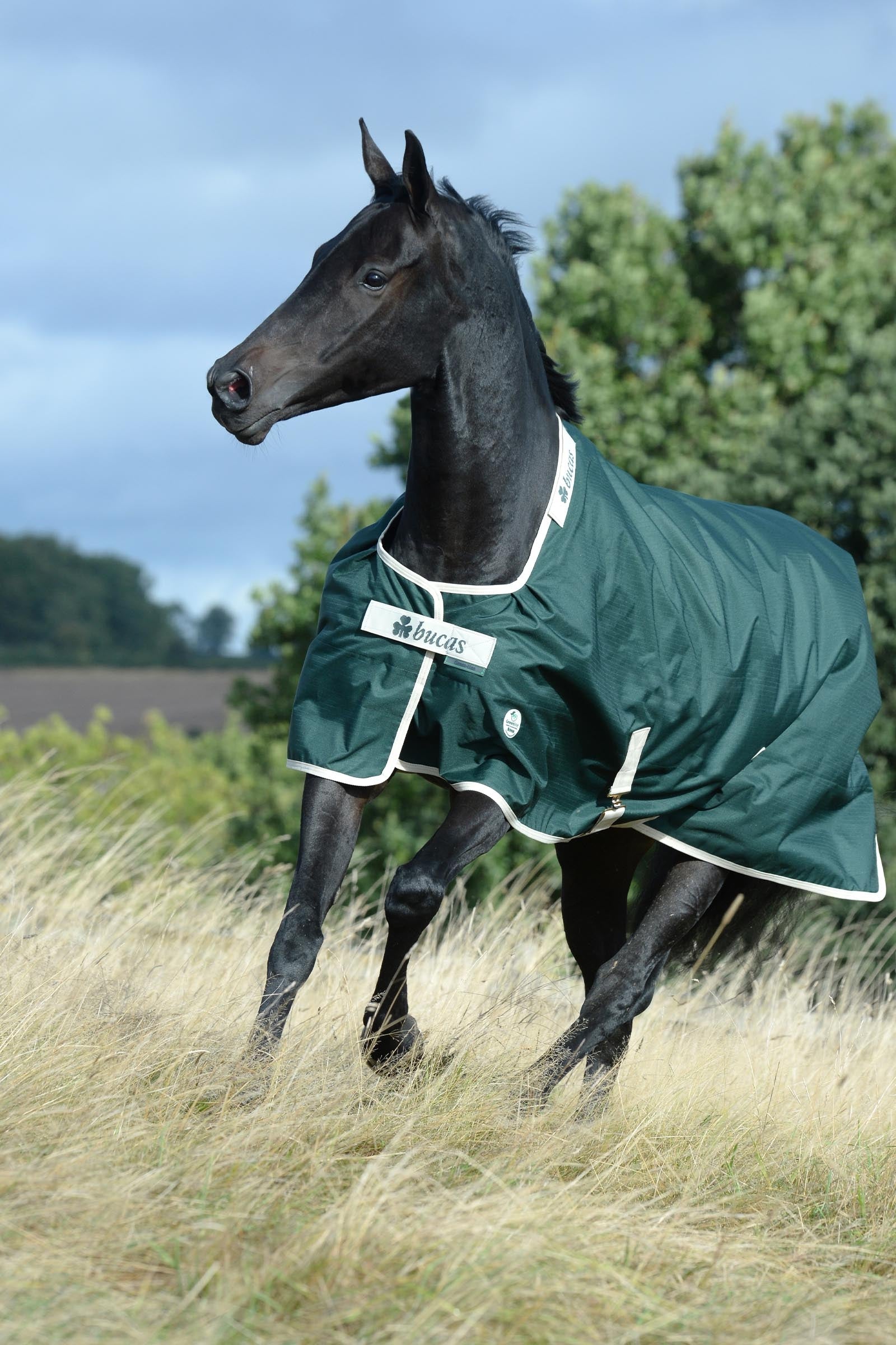 Bucas Green-Line Turnout 300g Horse Rugs