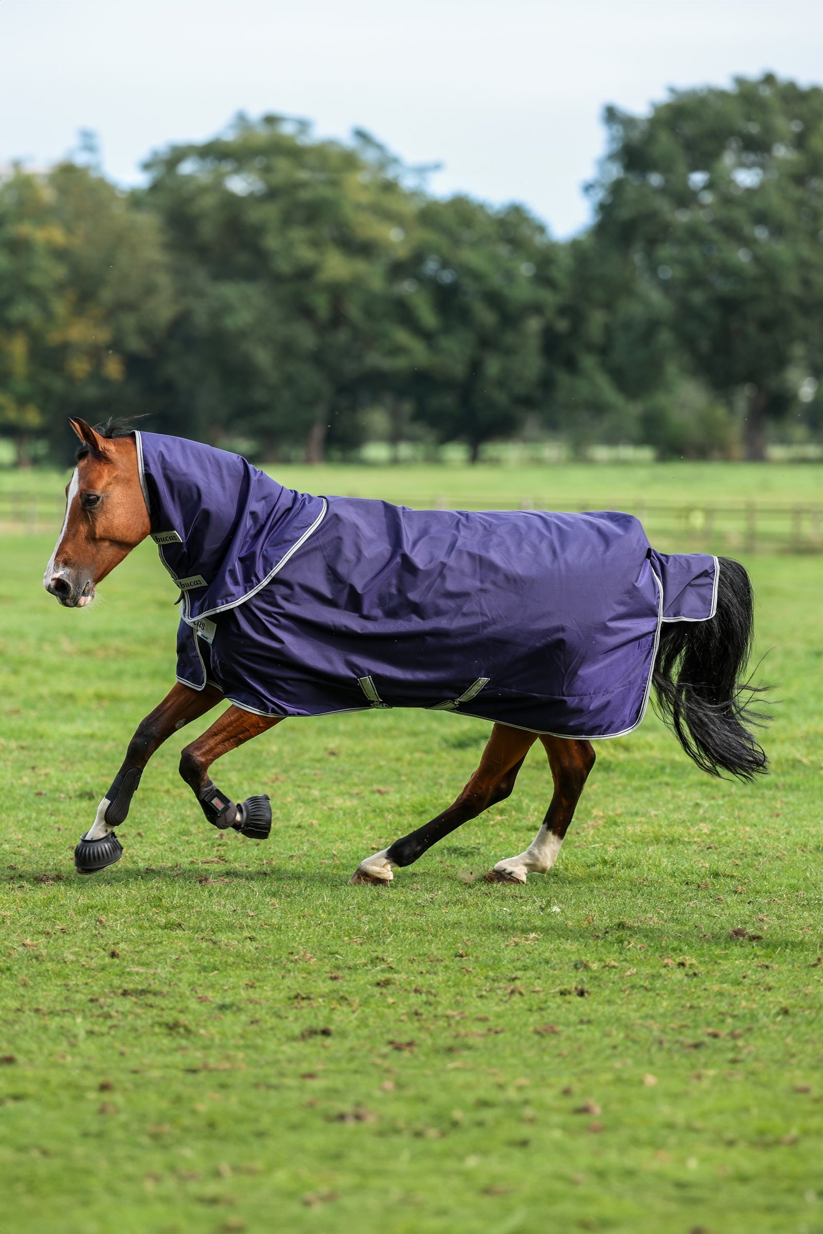 Bucas Atlantic Turnout Neck, 50 g Horse Rugs