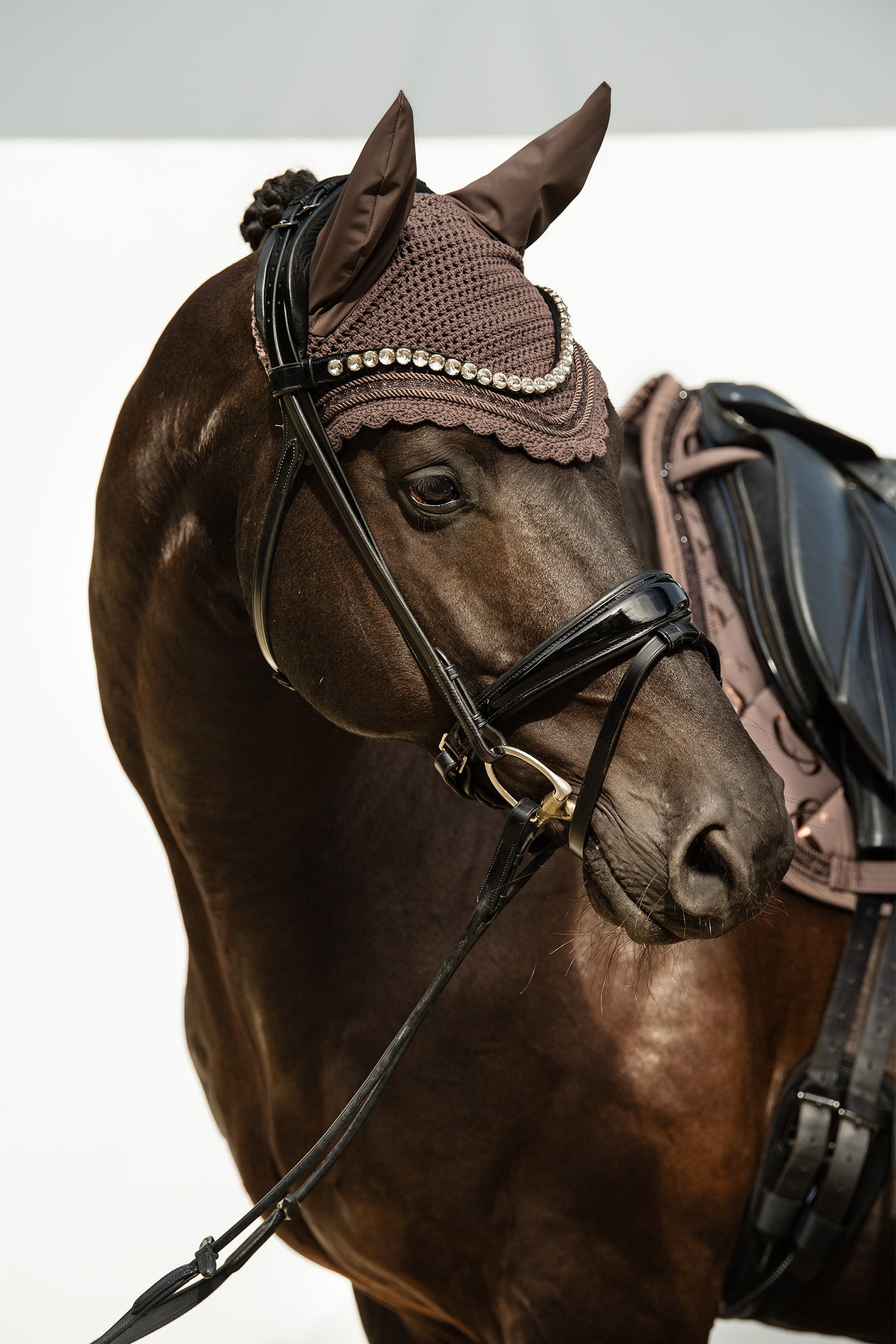 Eskadron Classic Sports Fly Hood Jewel SS24 Saddle Pads