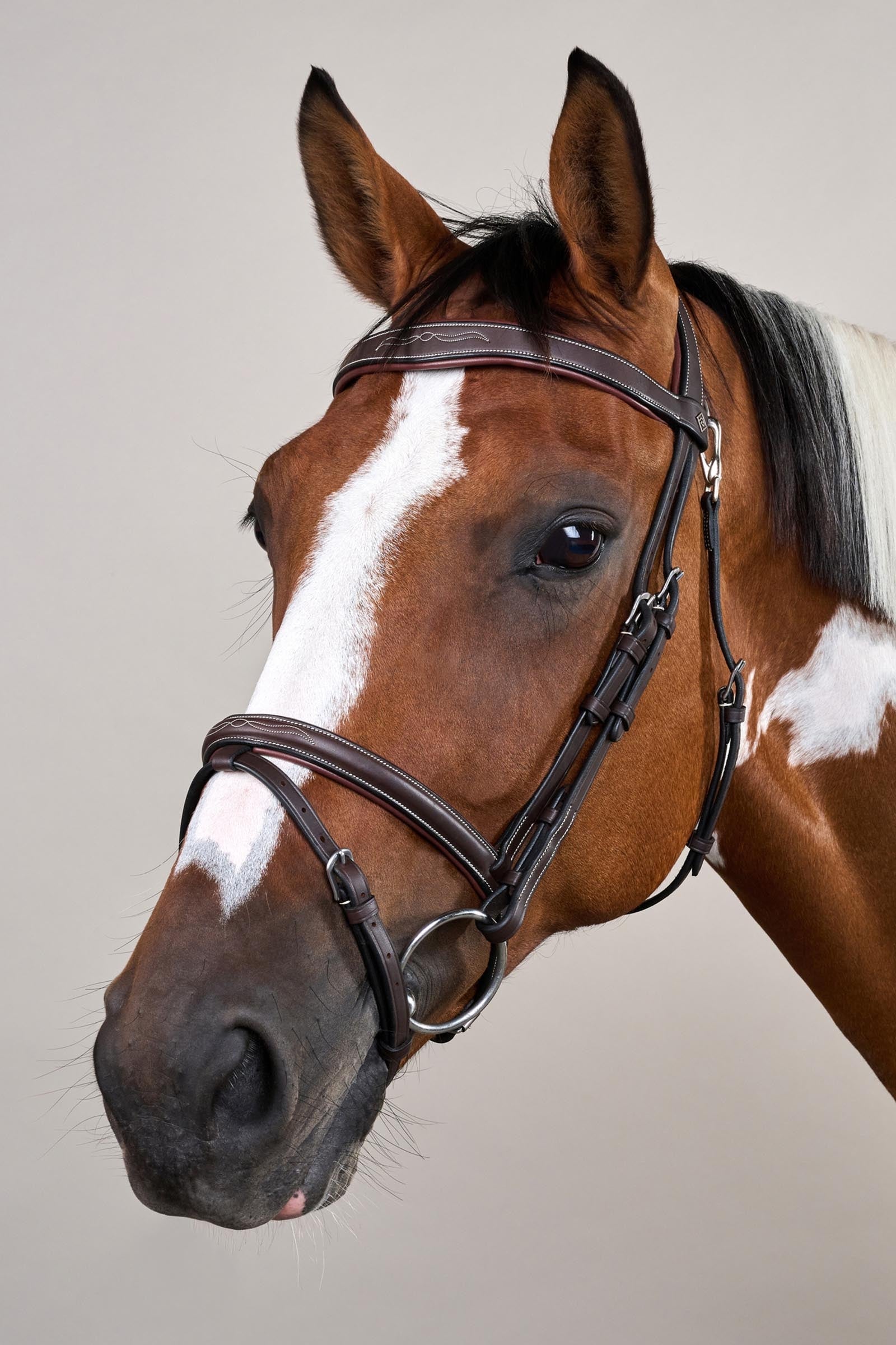 Dy'on Working Flash Noseband Bridle With Snap Hooks Bridles & Reins