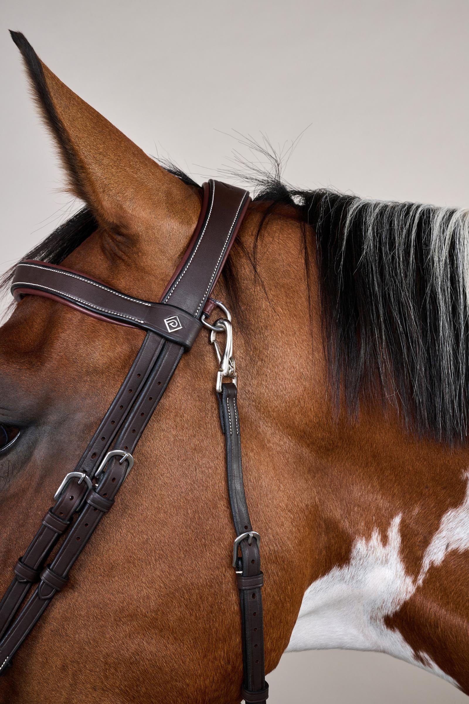 Dy'on Working Flash Noseband Bridle With Snap Hooks Bridles & Reins