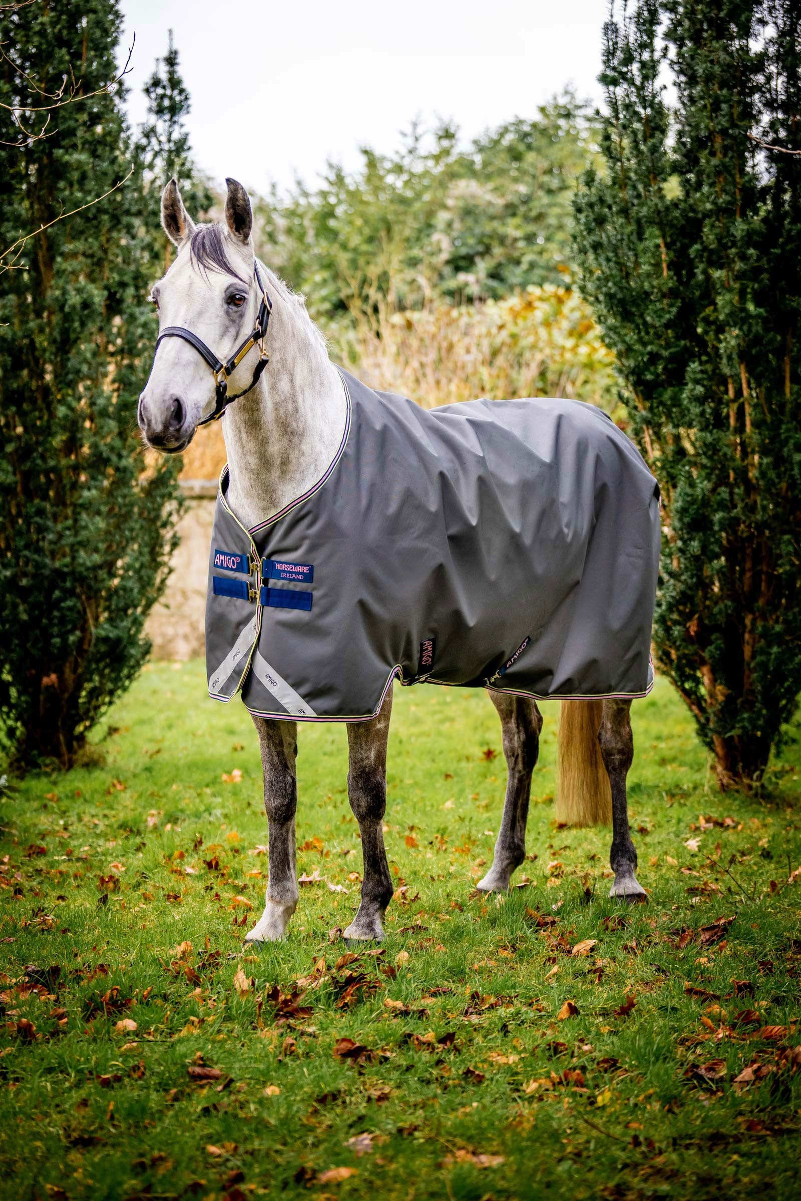 Horseware Amigo Bravo 12 Turnout Rug, 0g Horse Rugs