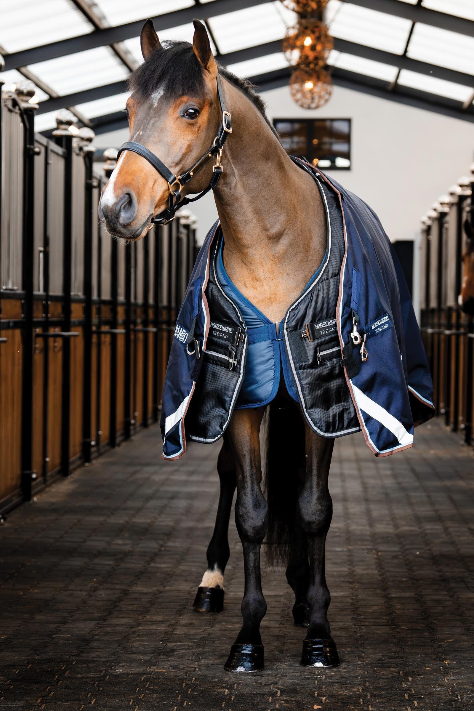 Horseware Easy-Layer Stablerug 100g Horse Rugs