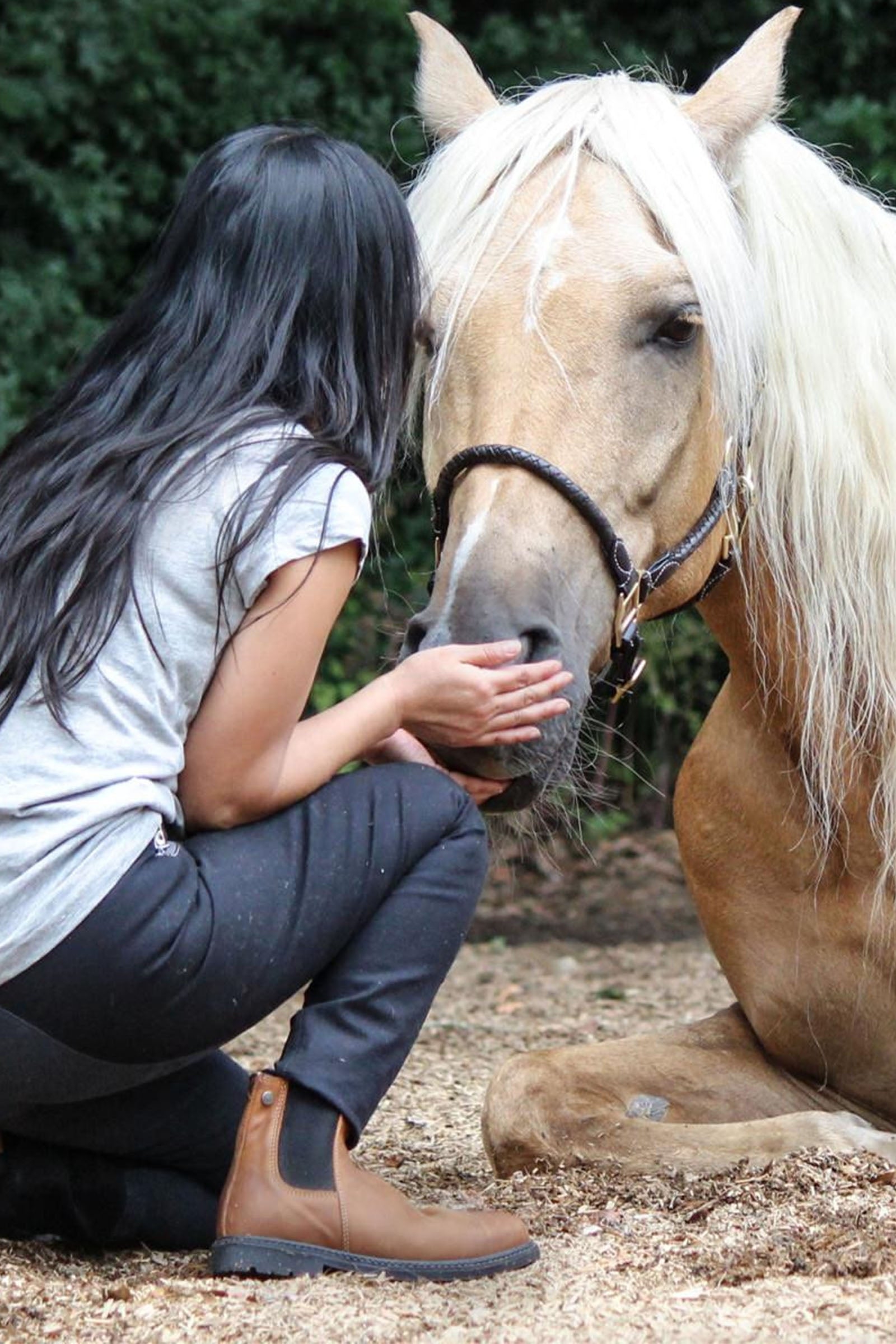 Suedwind Footwear New Work Chelsea Boots Riding Boots & Riding Shoes