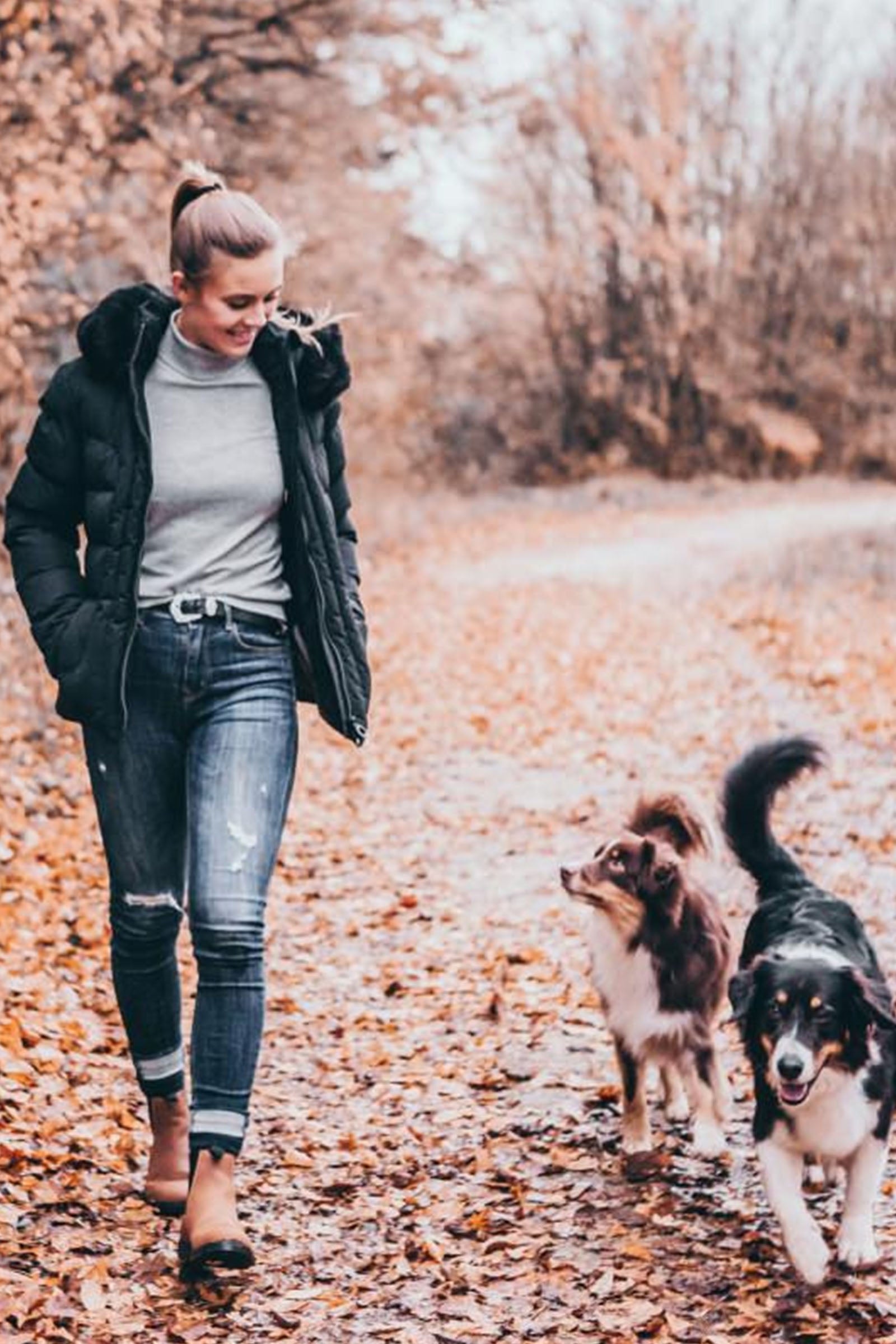 Suedwind Footwear New Work Chelsea Boots Riding Boots & Riding Shoes