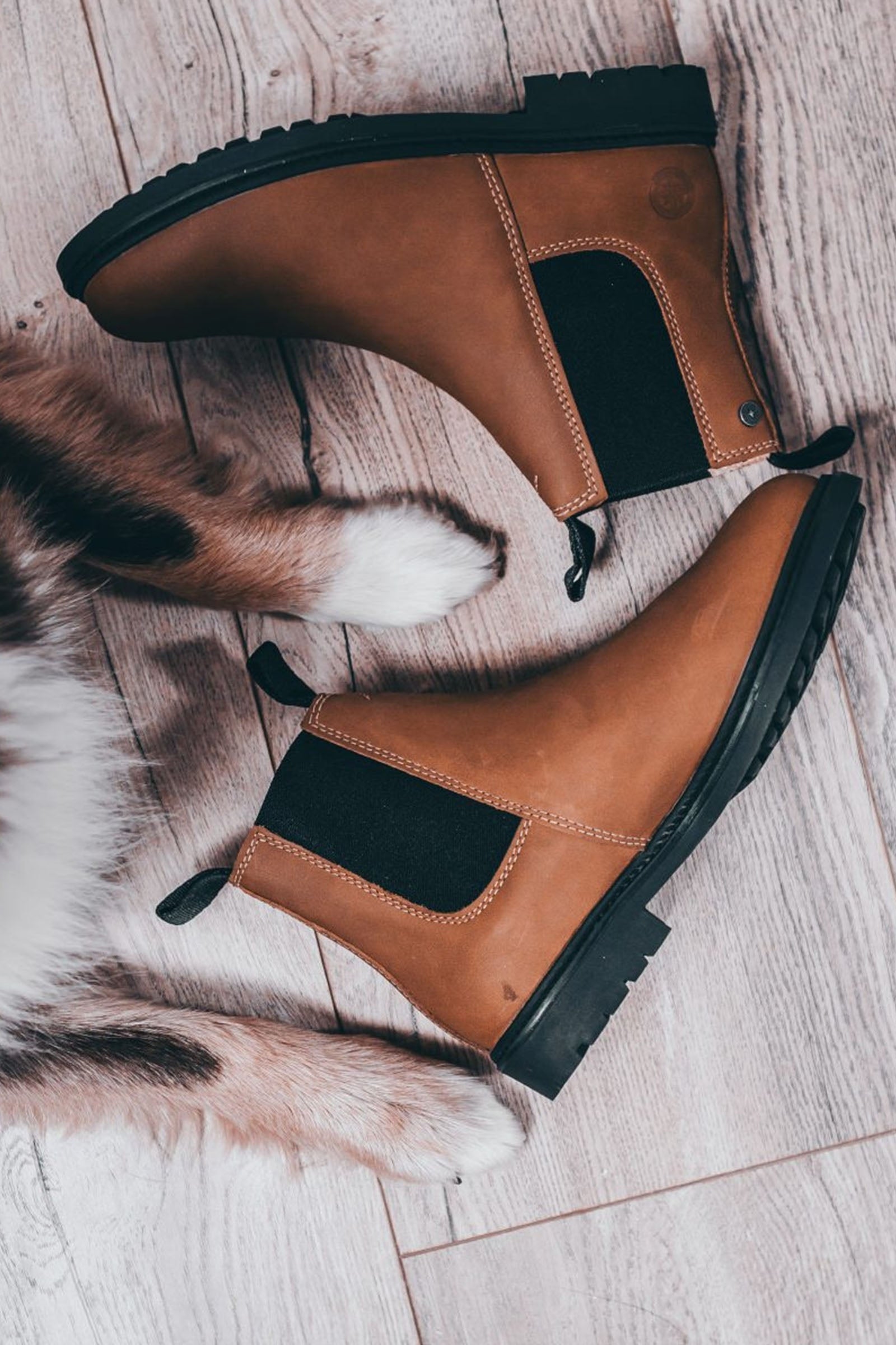 Suedwind Footwear New Work Chelsea Boots Riding Boots & Riding Shoes