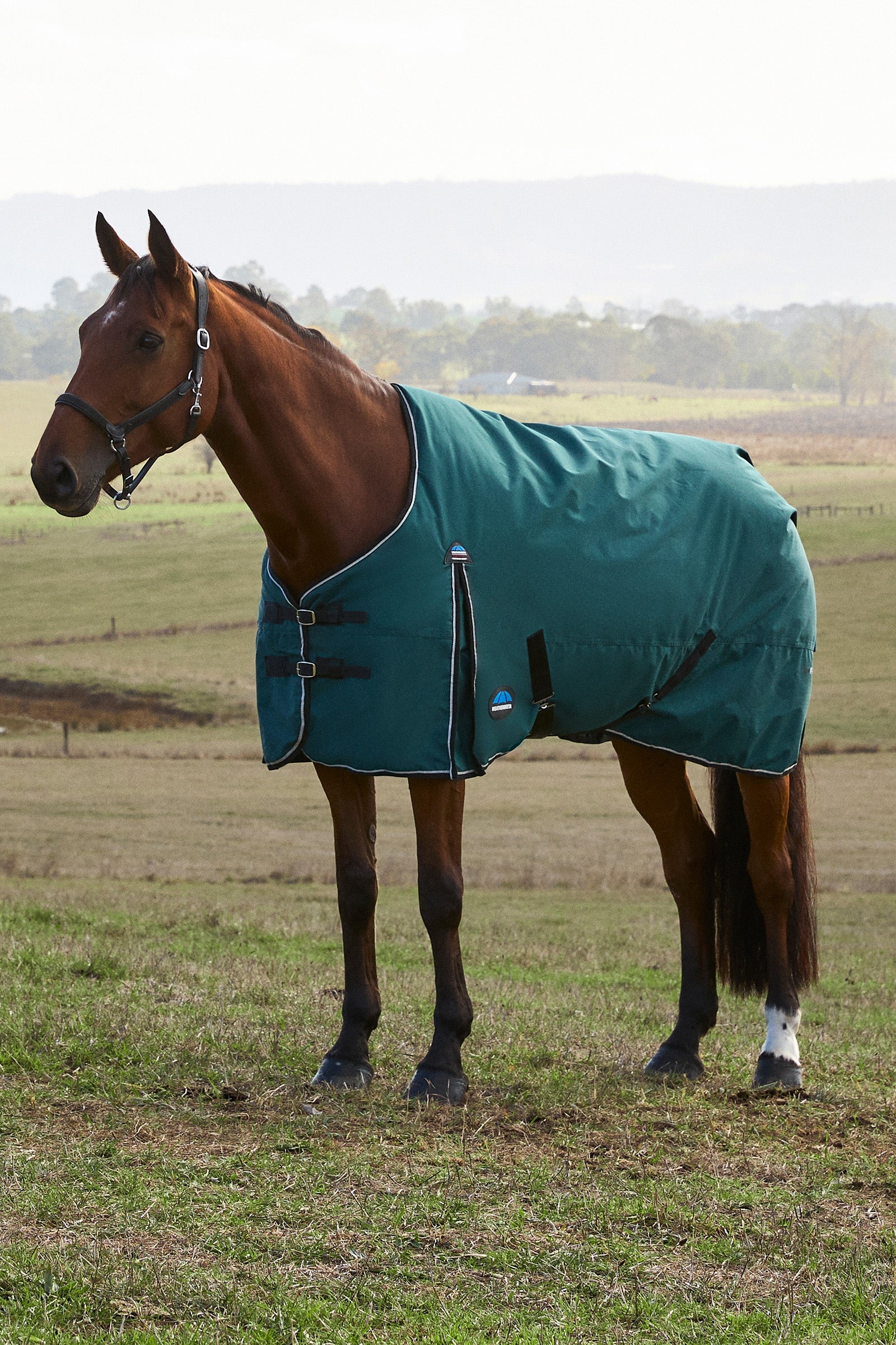 Weatherbeeta ComFiTec Classic Turnout Standard Neck 220G Horse Rugs