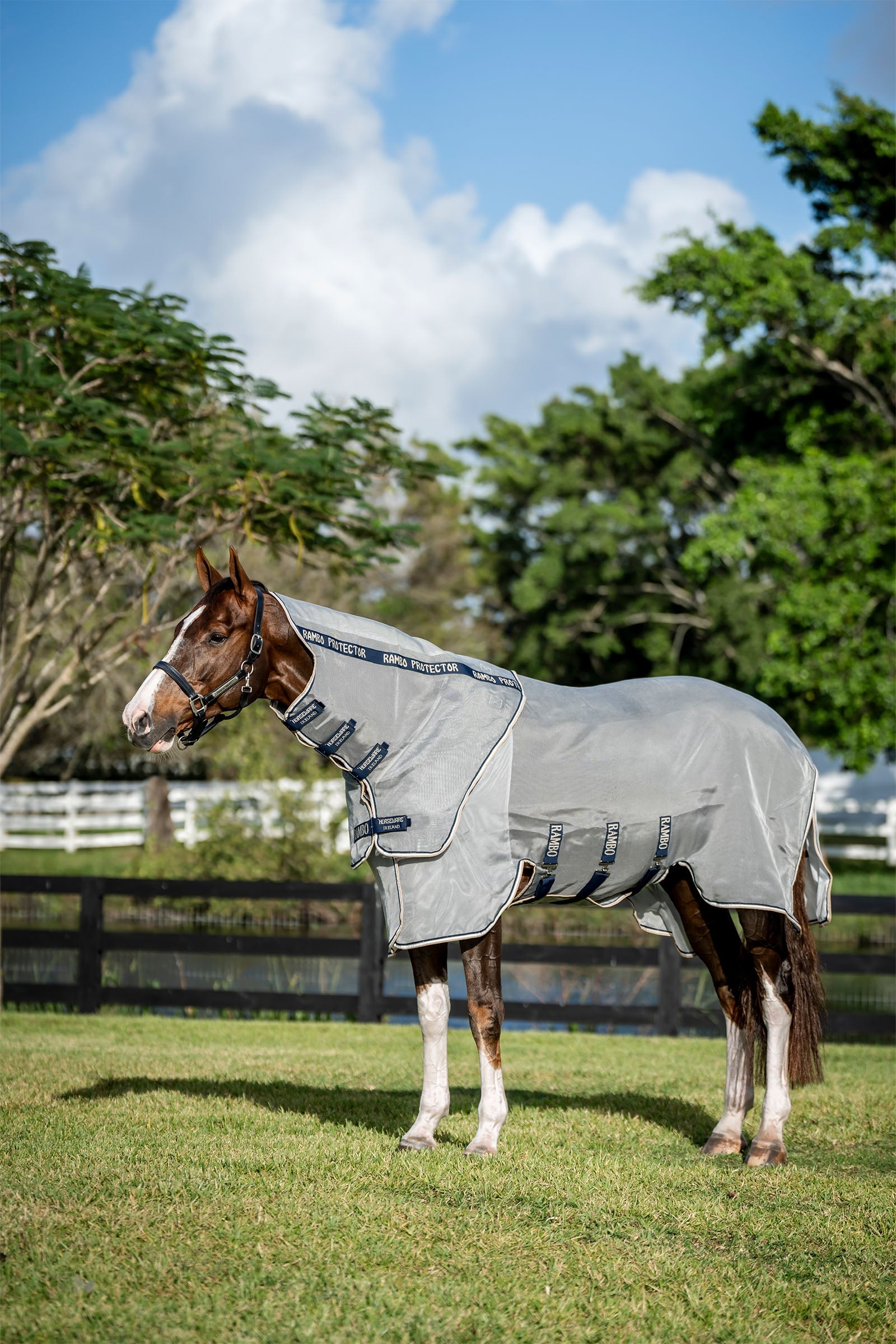 Horseware Rambo Protector Fieldsafe Plus Horse Rugs